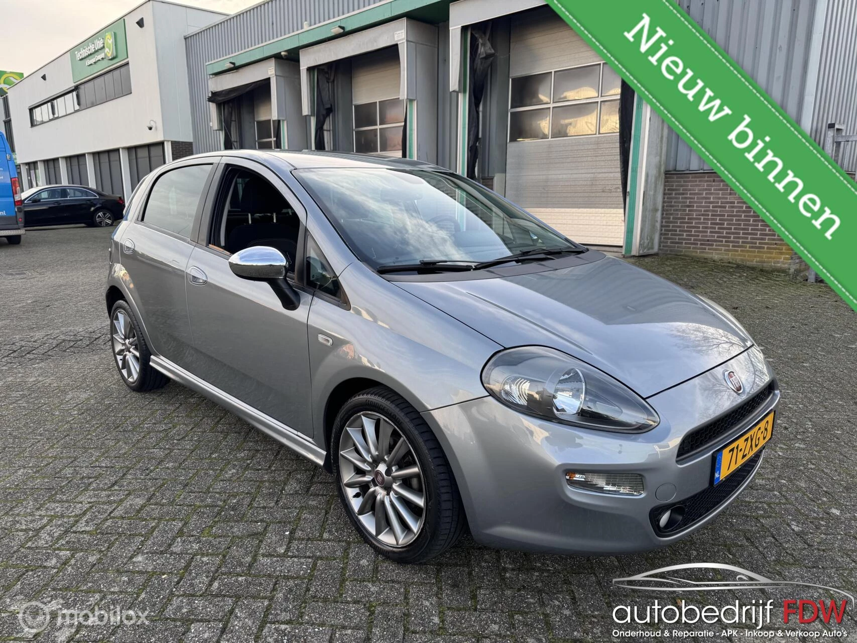 Hoofdafbeelding Fiat Punto