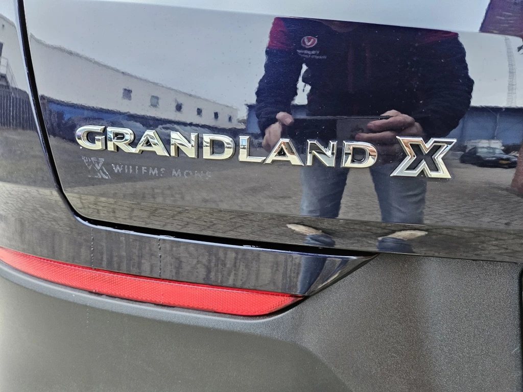 Hoofdafbeelding Opel Grandland X