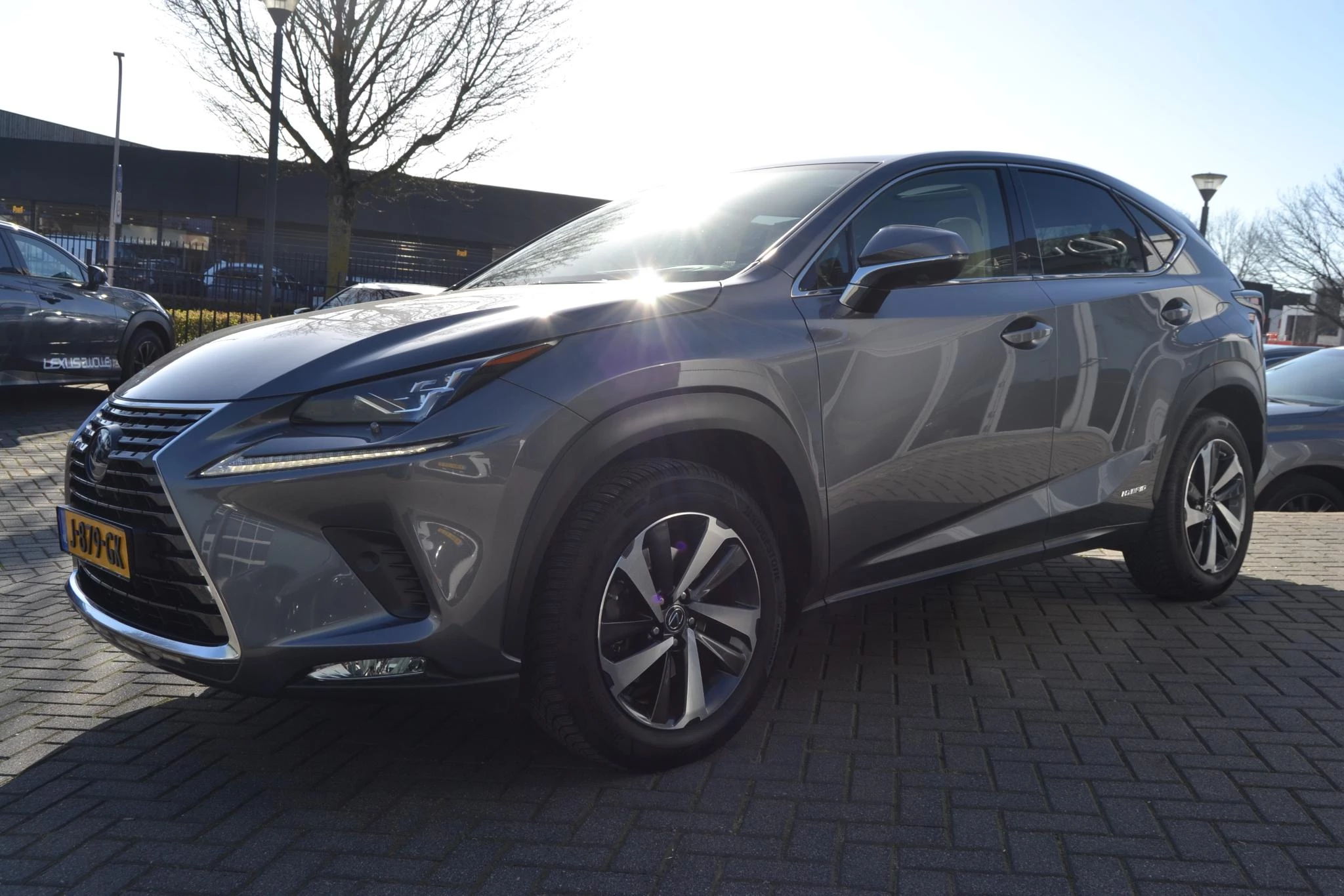 Hoofdafbeelding Lexus NX