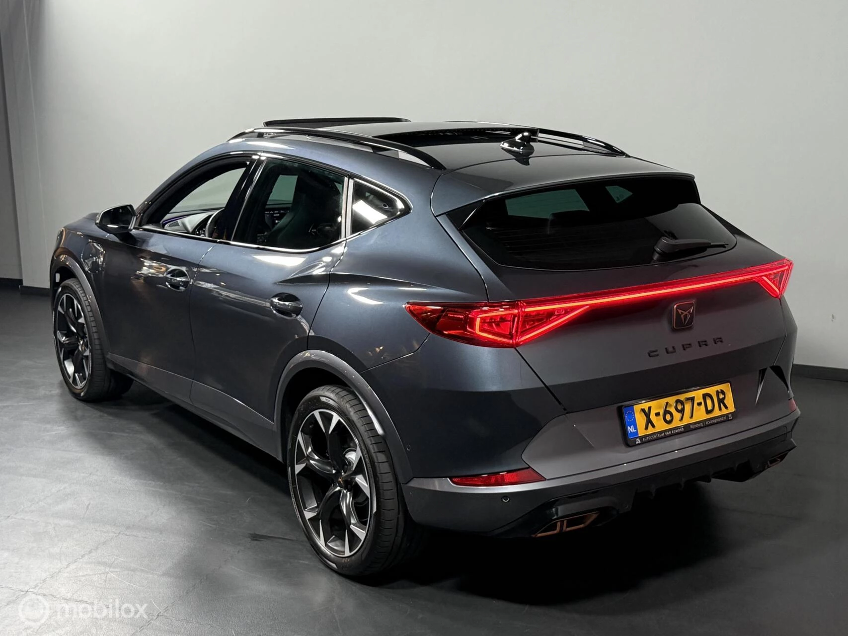 Hoofdafbeelding CUPRA Formentor