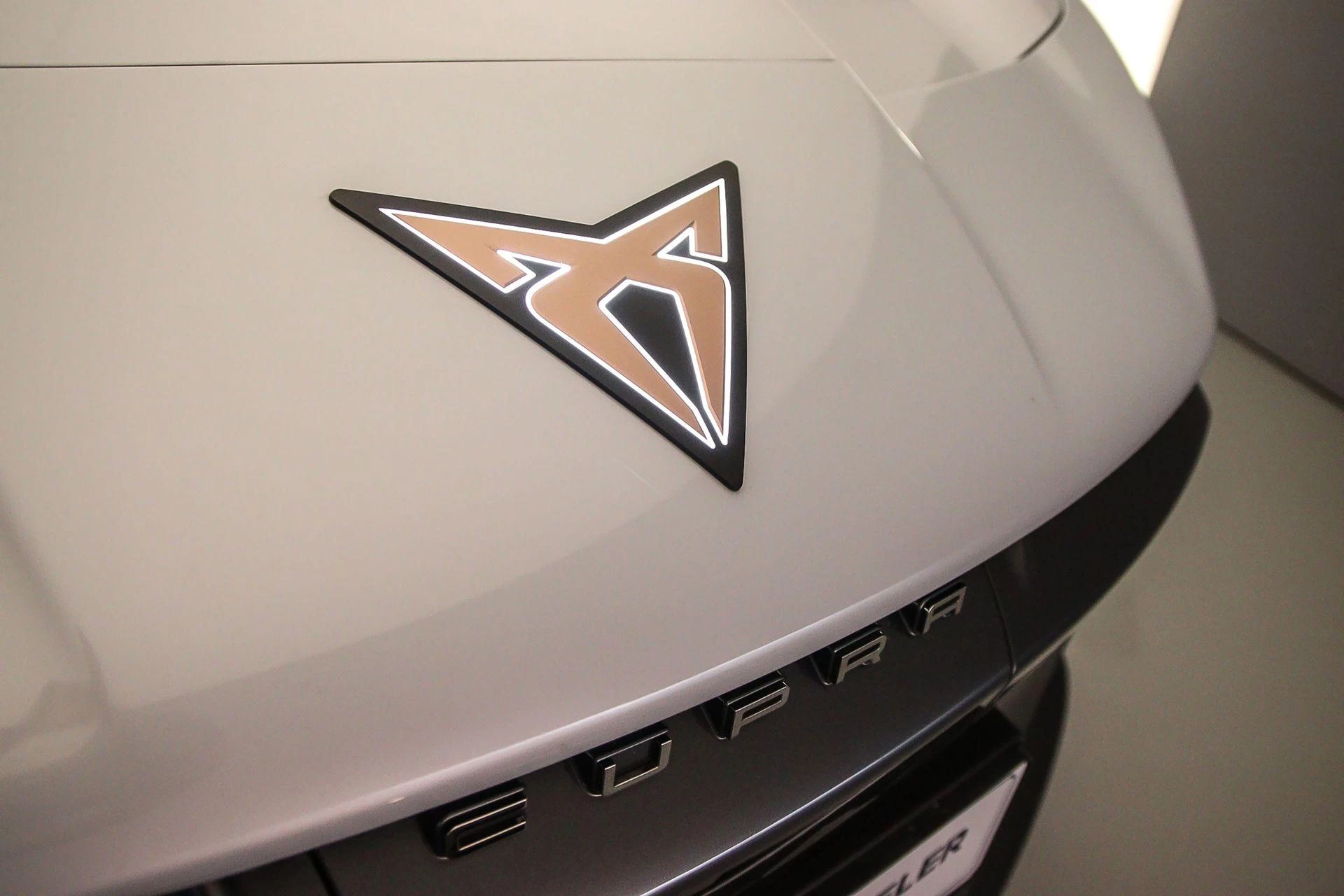 Hoofdafbeelding CUPRA Tavascan