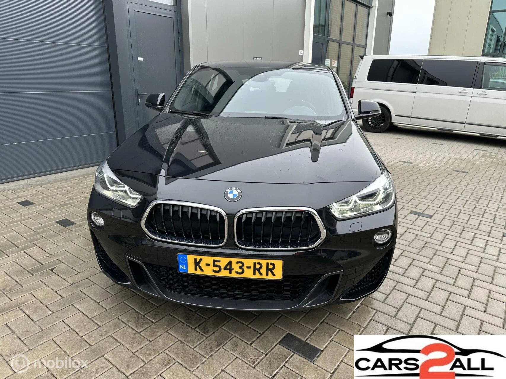 Hoofdafbeelding BMW X2