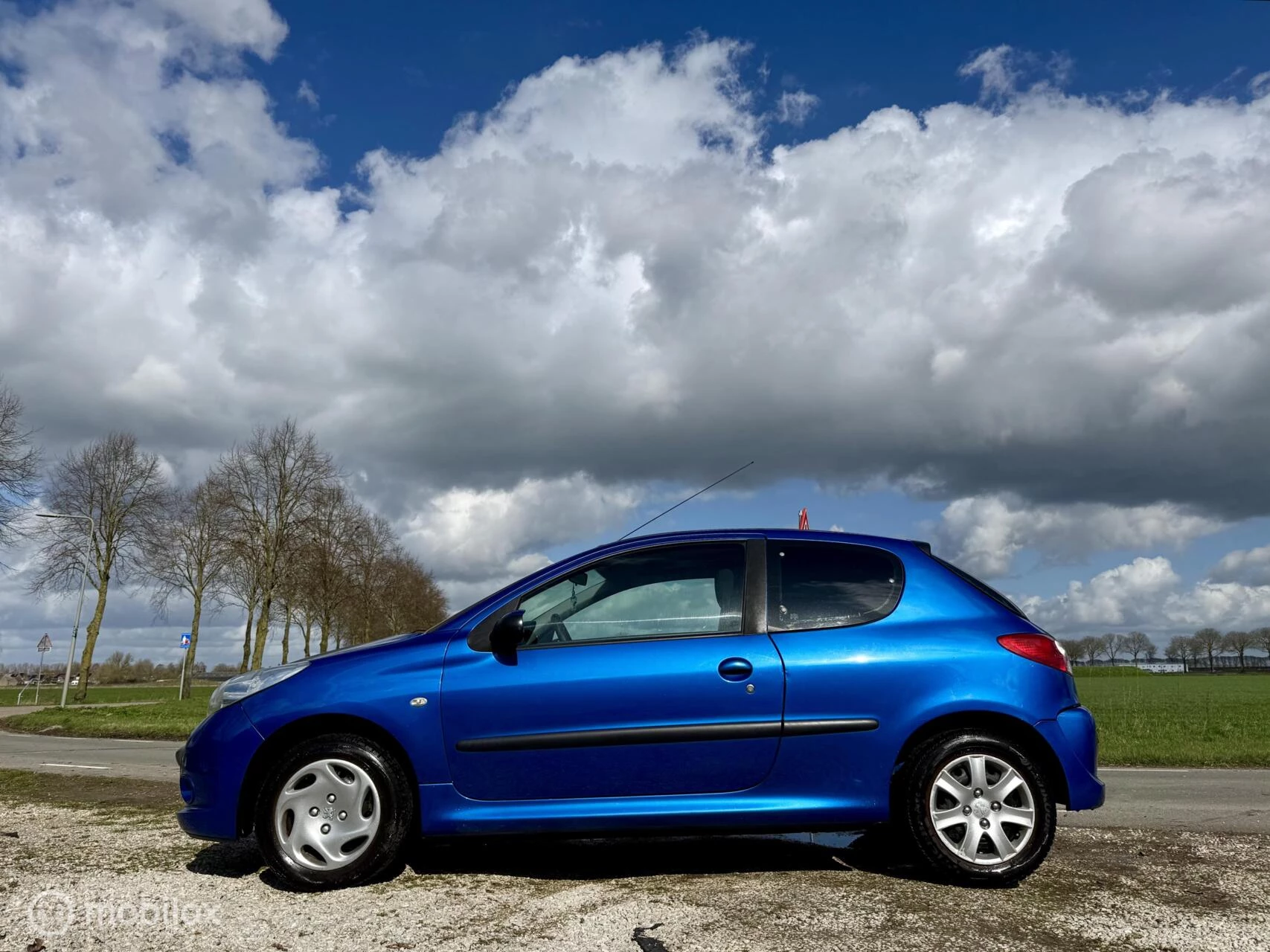 Hoofdafbeelding Peugeot 206