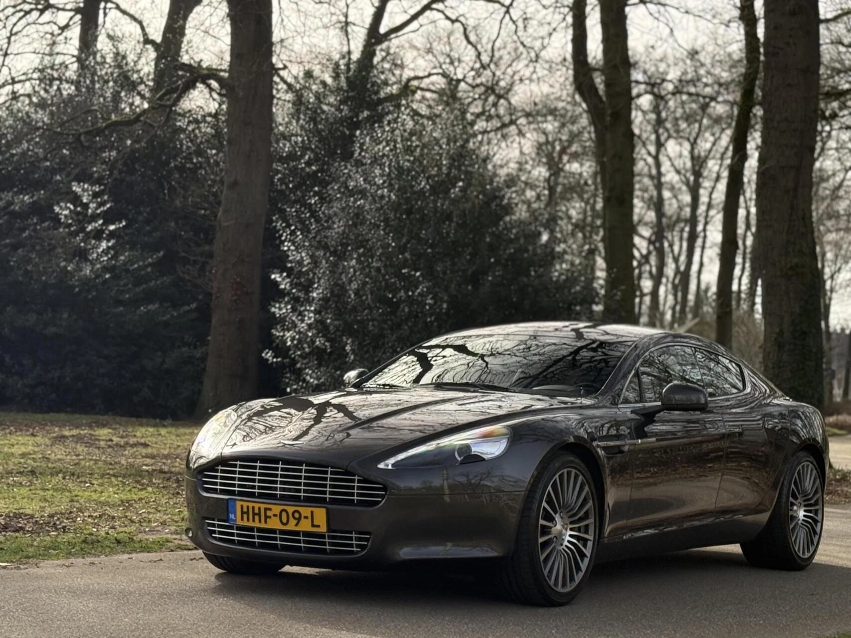 Hoofdafbeelding Aston Martin Rapide