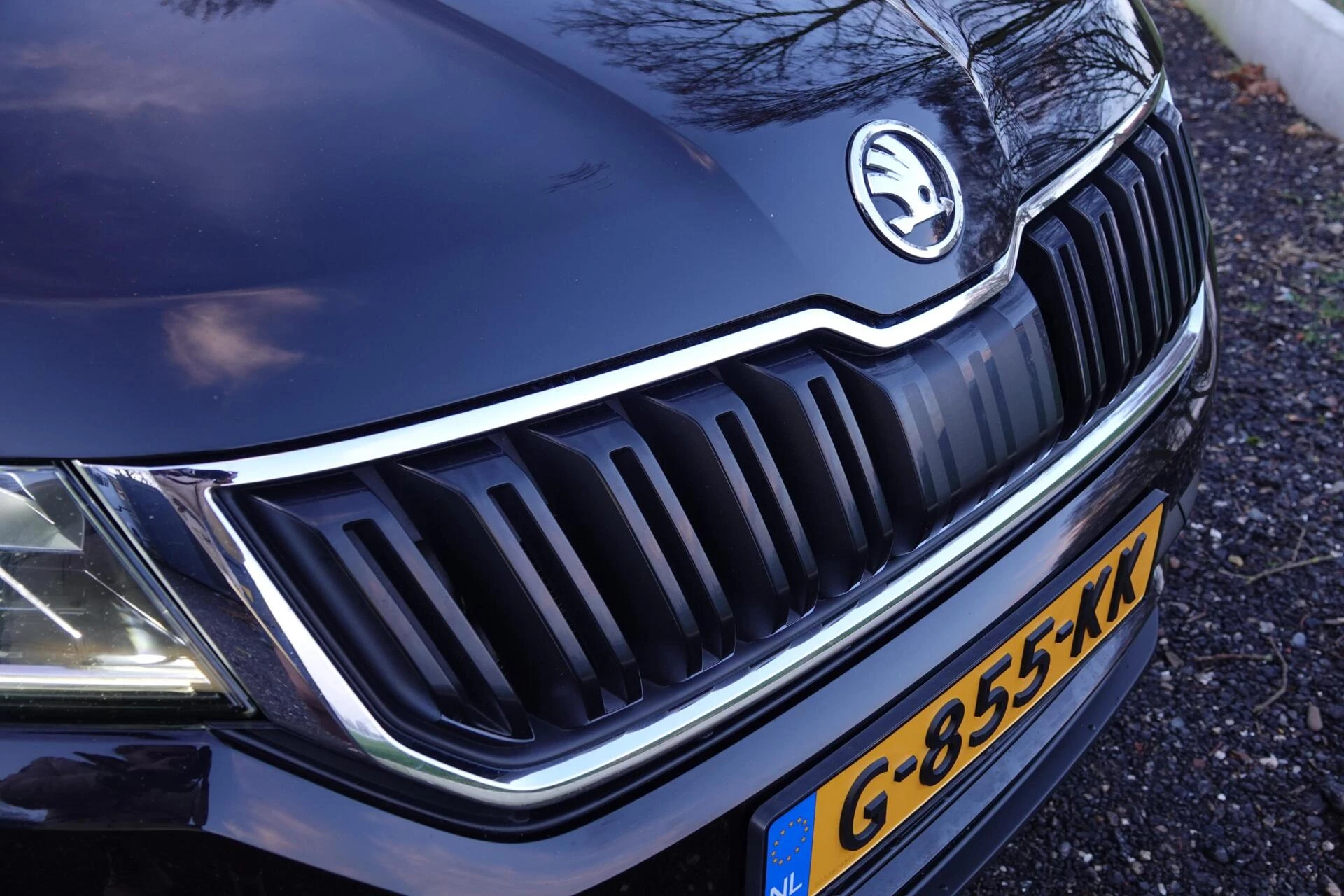 Hoofdafbeelding Škoda Kodiaq
