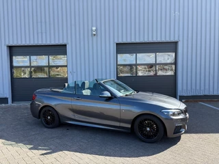 BMW 2 Serie 220I High Executive M-sport I Alcantara I Navi