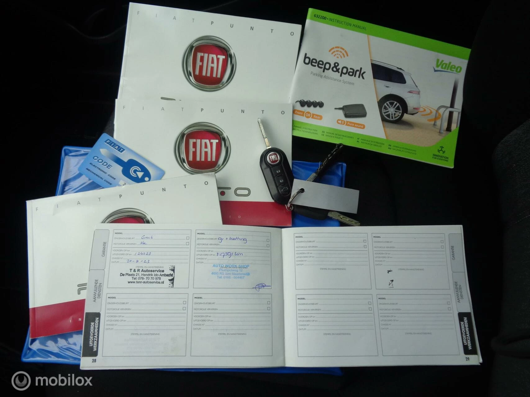 Hoofdafbeelding Fiat Punto