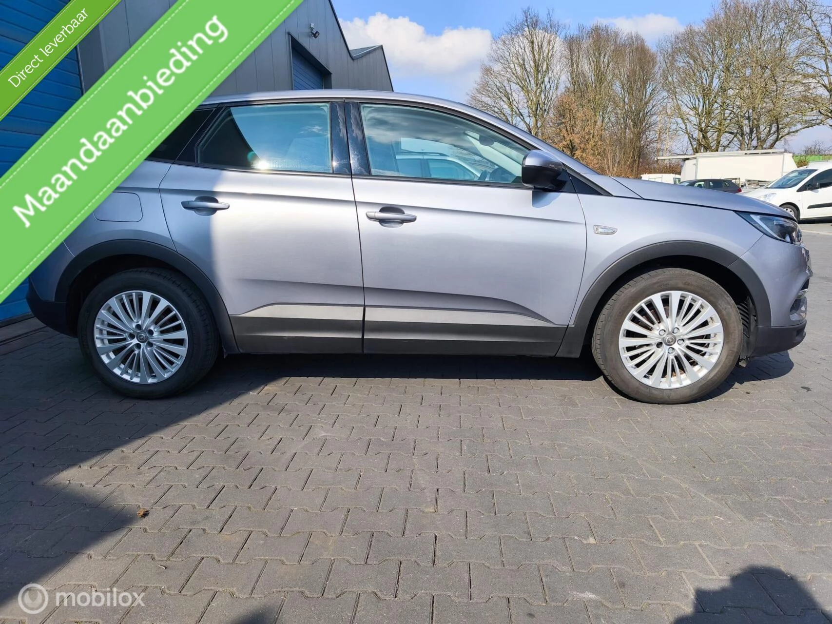 Hoofdafbeelding Opel Grandland X