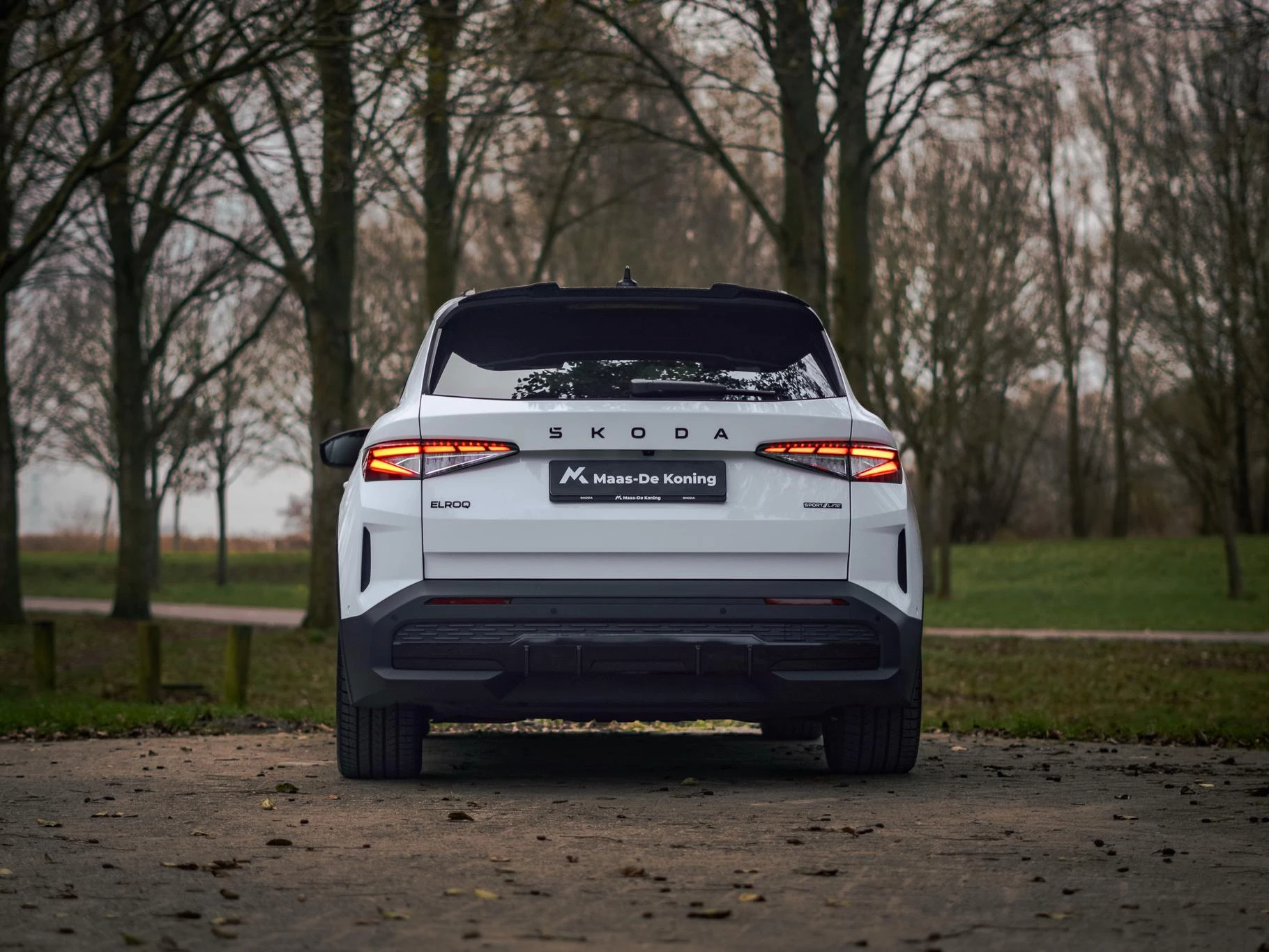 Hoofdafbeelding Škoda Elroq