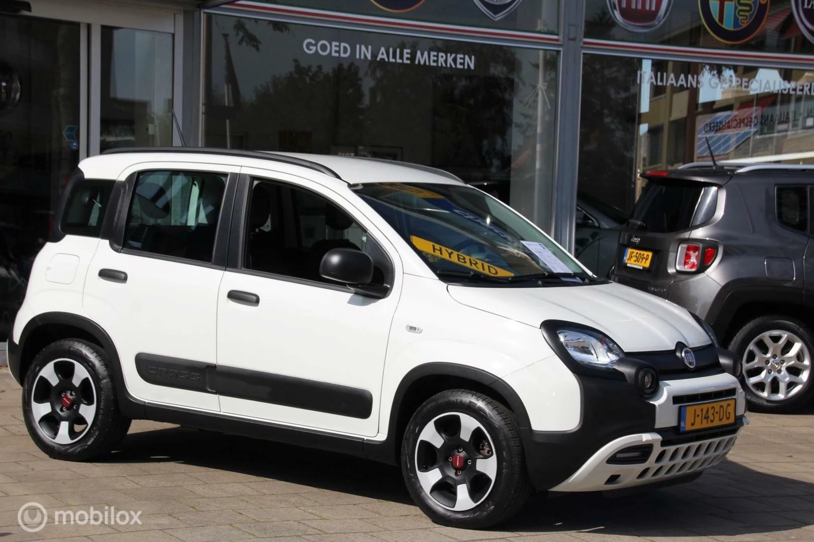 Hoofdafbeelding Fiat Panda