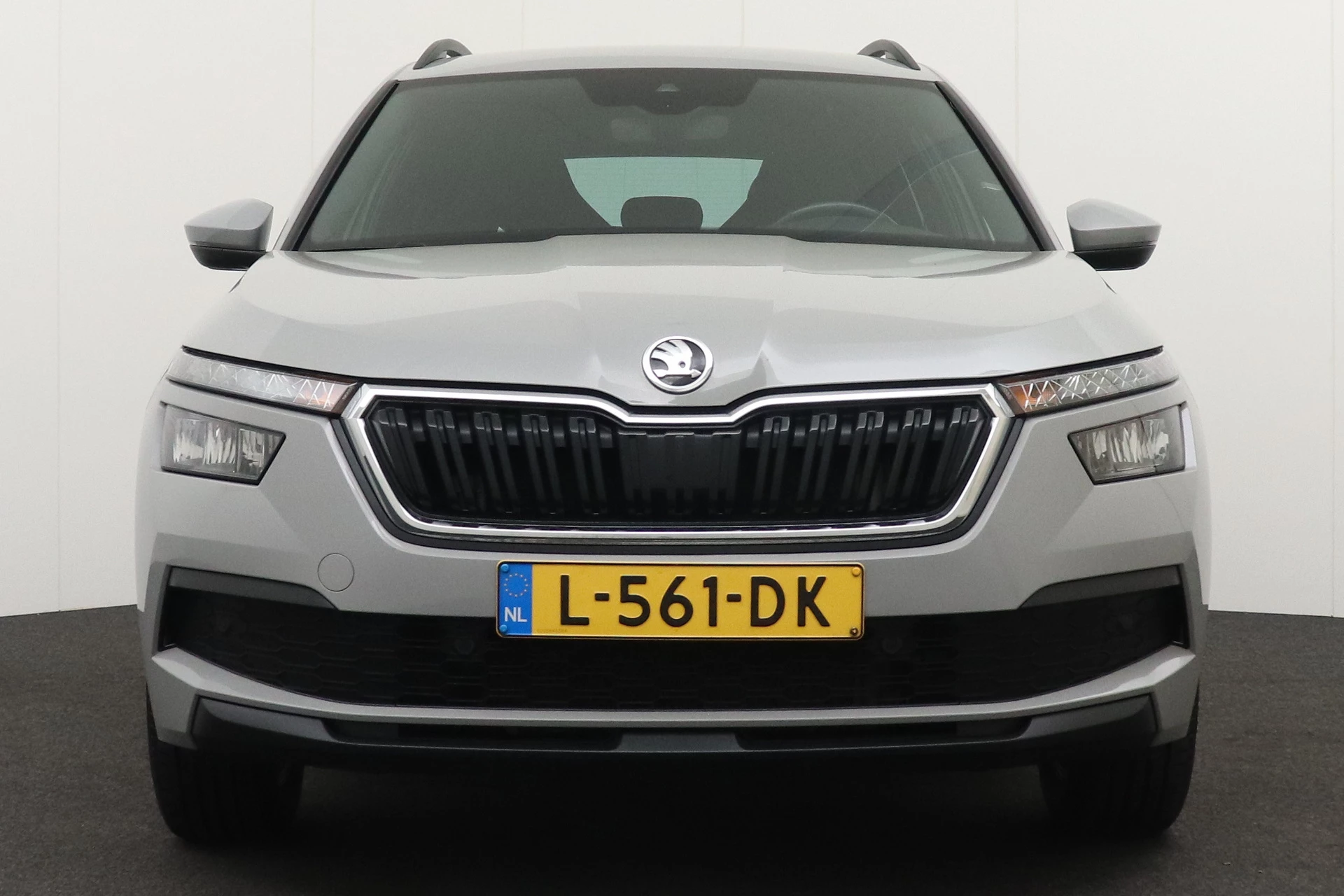 Hoofdafbeelding Škoda Kamiq