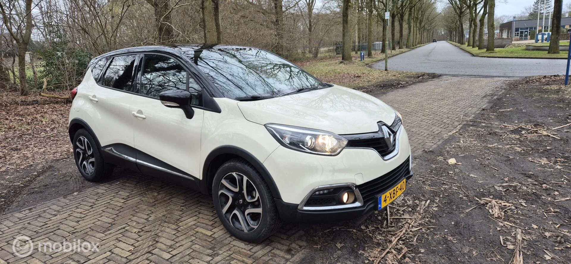 Hoofdafbeelding Renault Captur