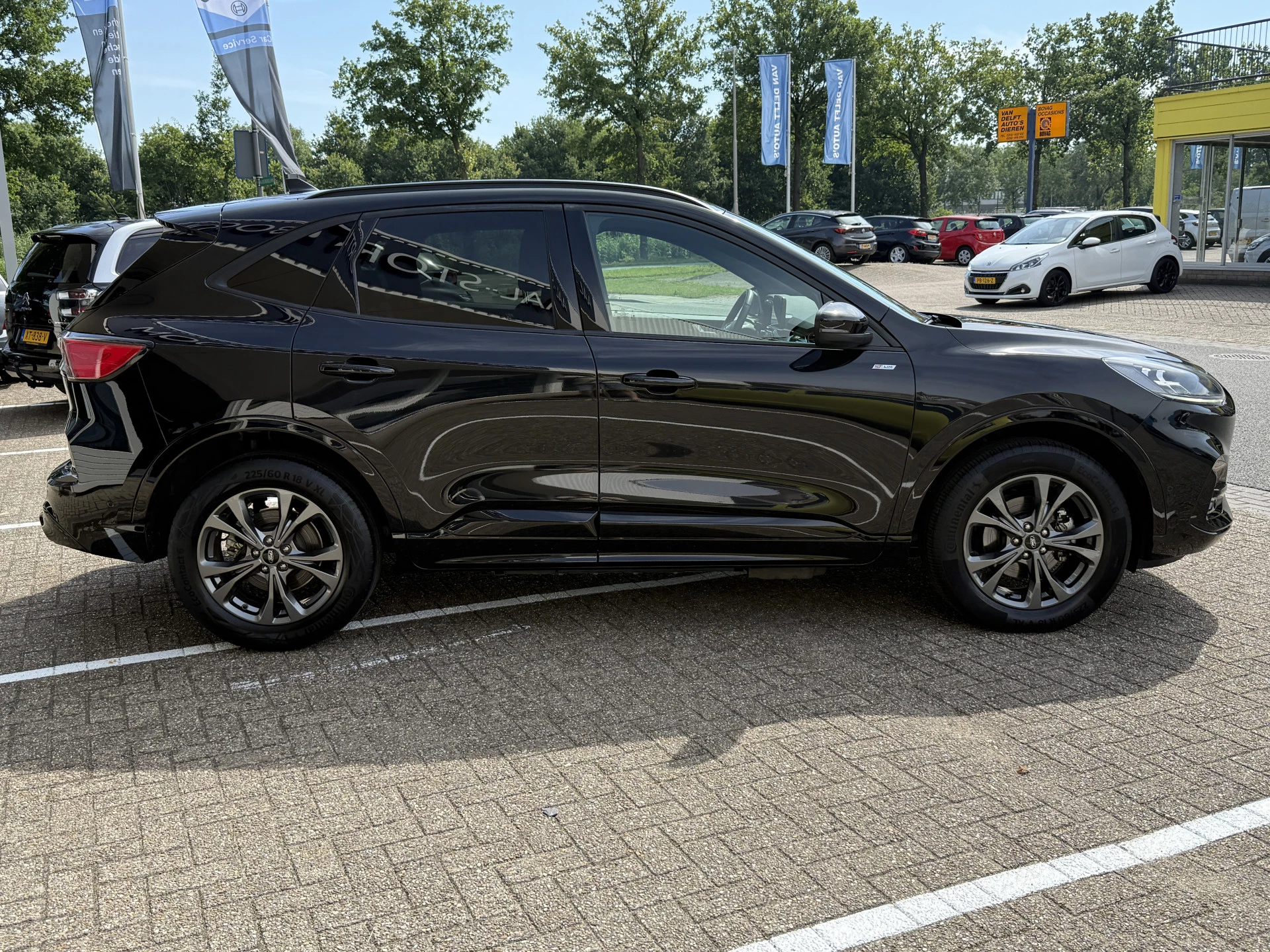 Hoofdafbeelding Ford Kuga