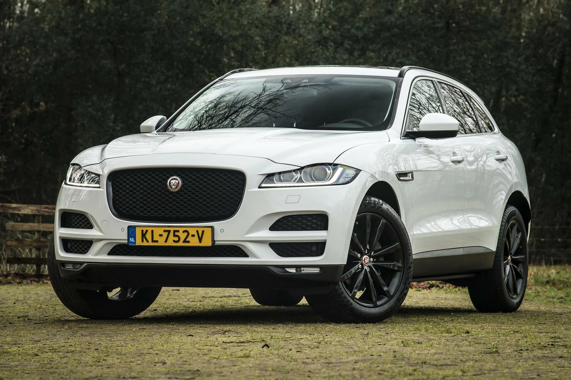 Hoofdafbeelding Jaguar F-PACE