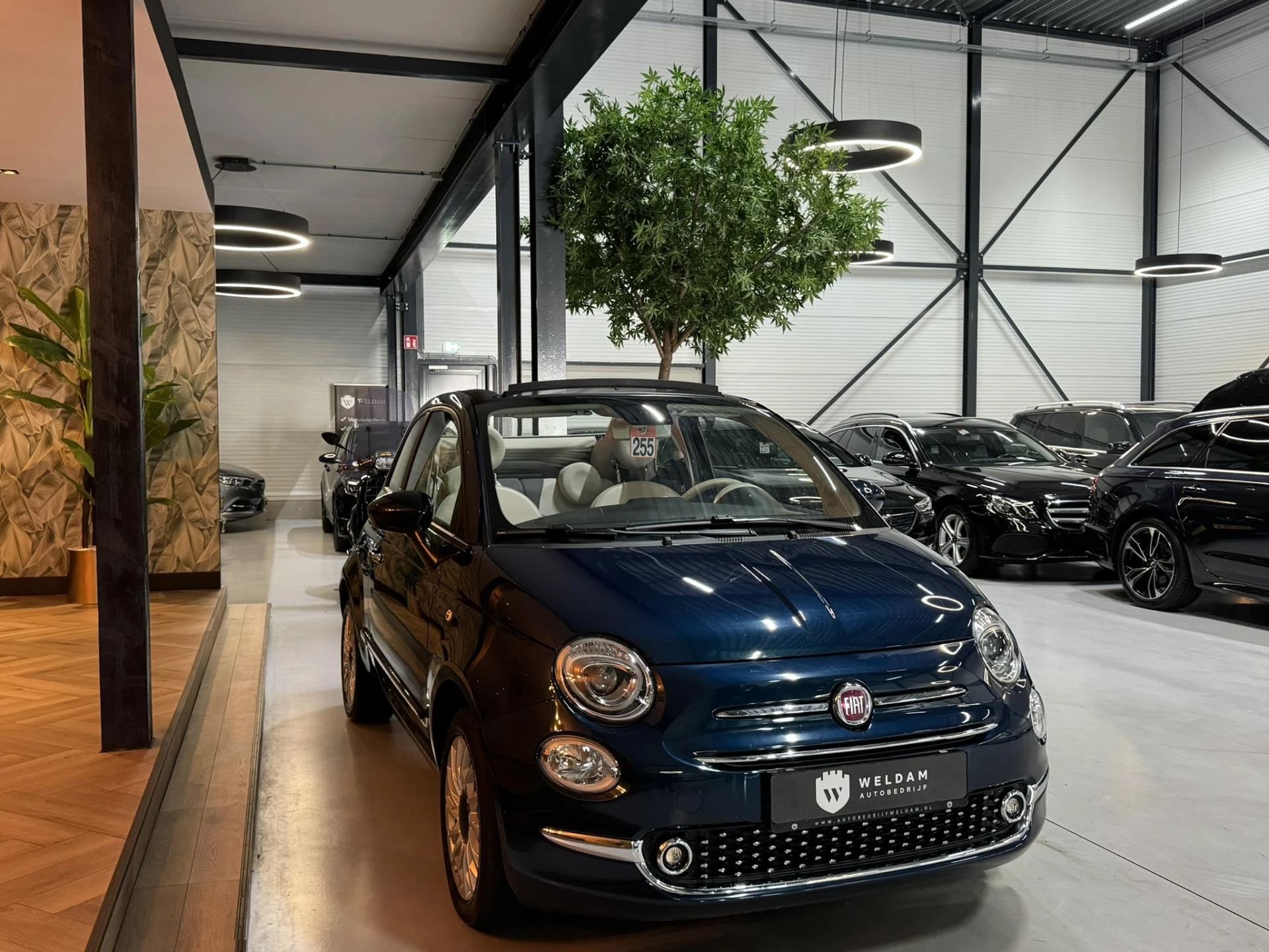 Hoofdafbeelding Fiat 500C