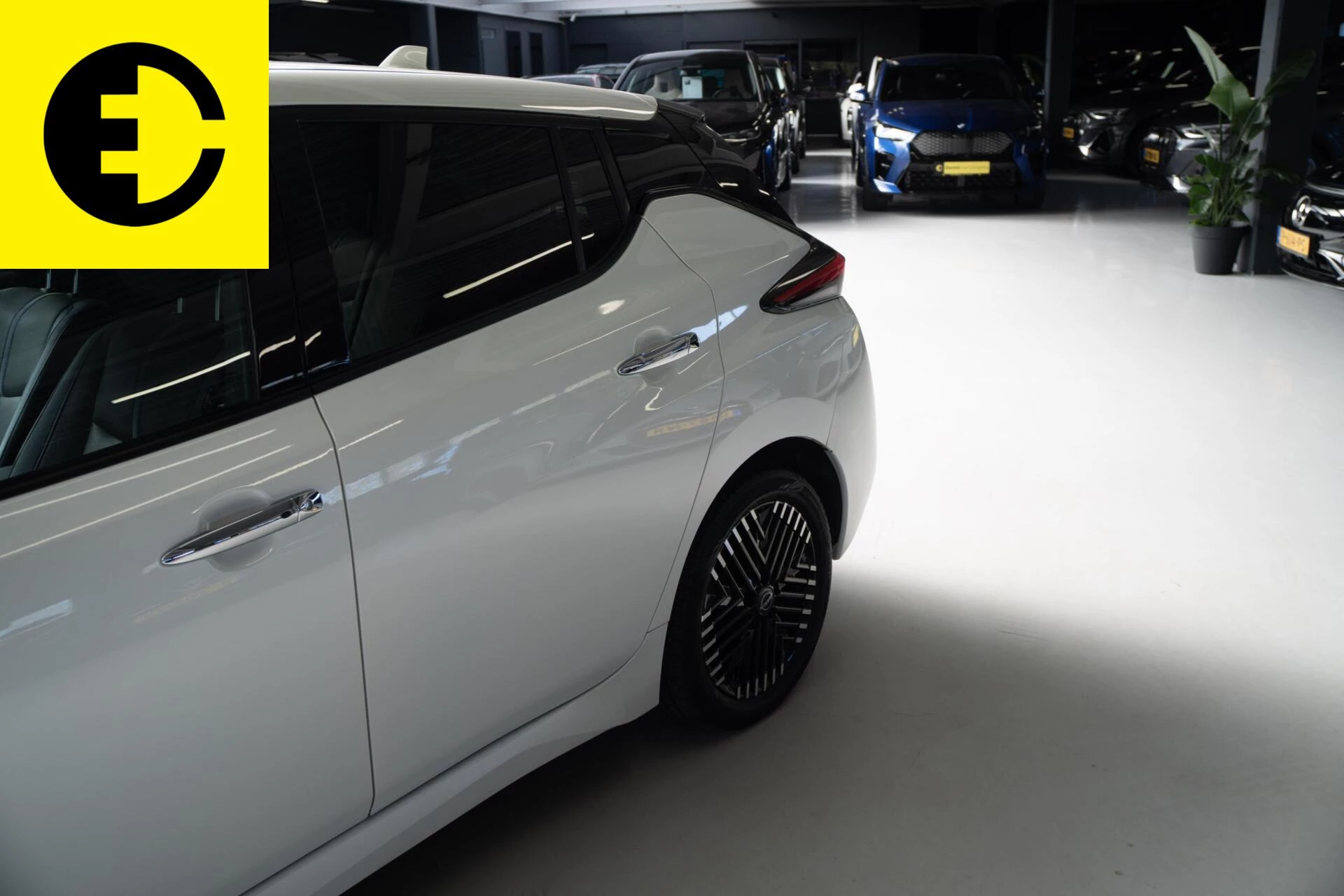 Hoofdafbeelding Nissan Leaf