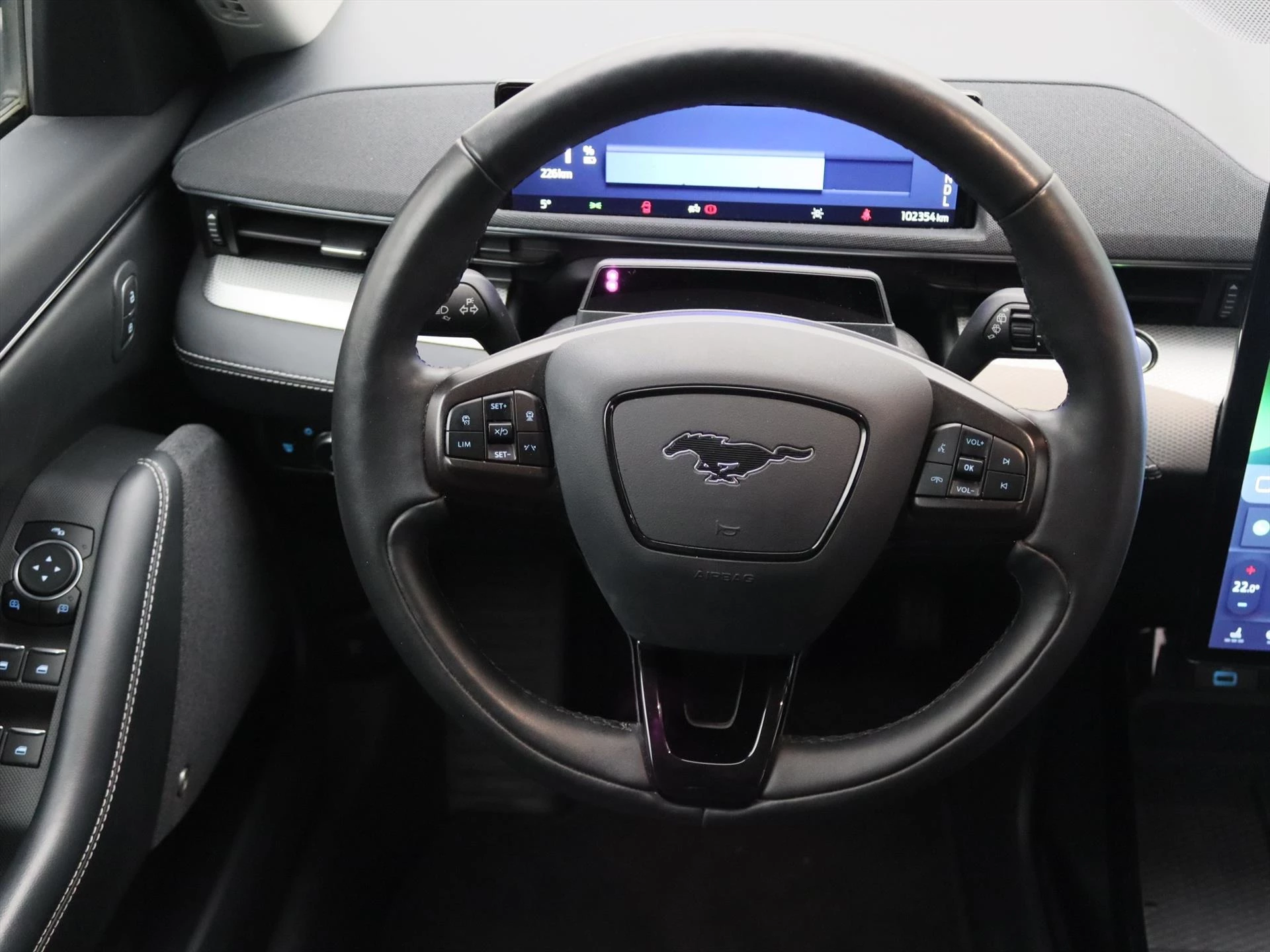 Hoofdafbeelding Ford Mustang Mach-E