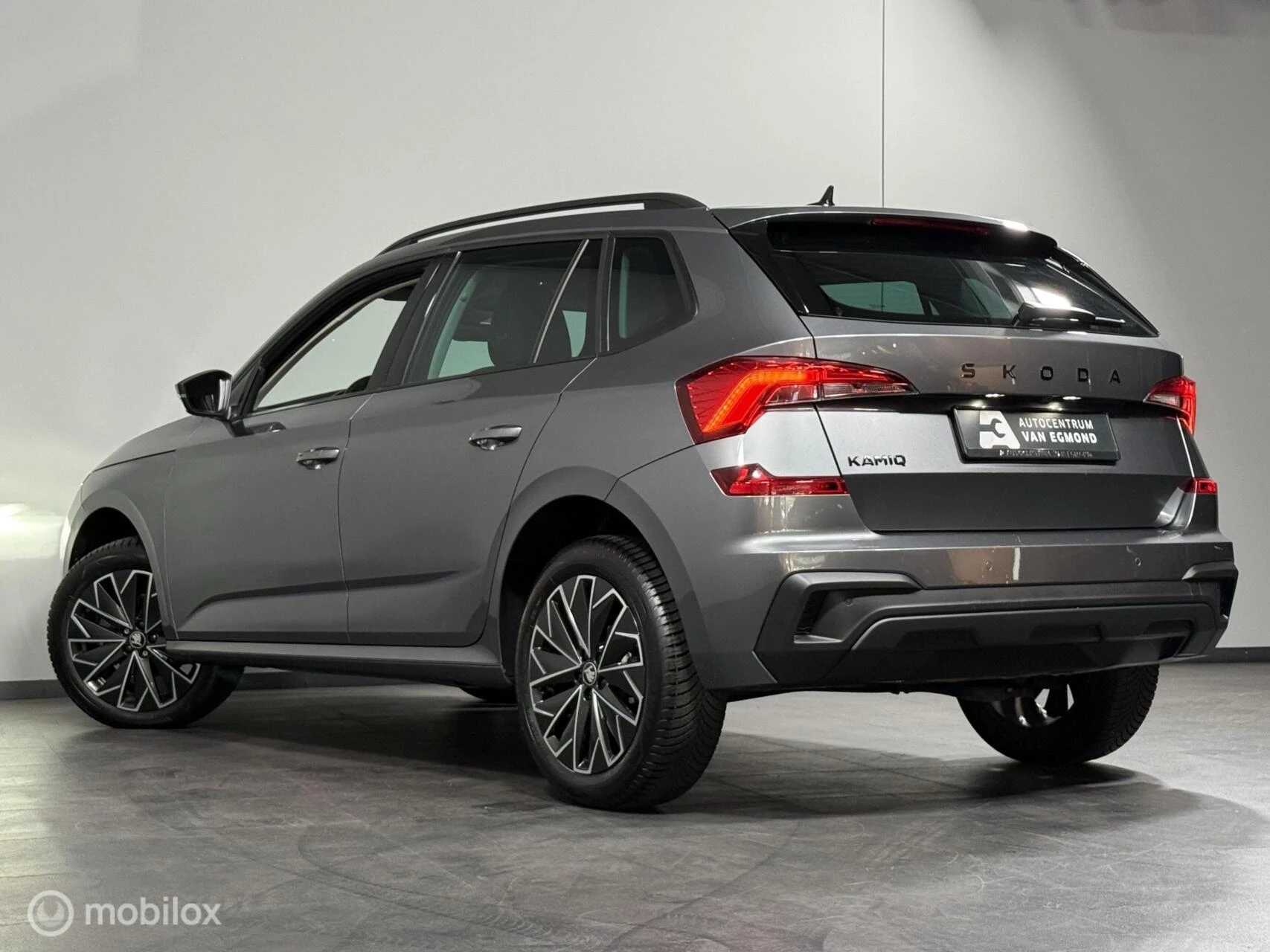 Hoofdafbeelding Škoda Kamiq