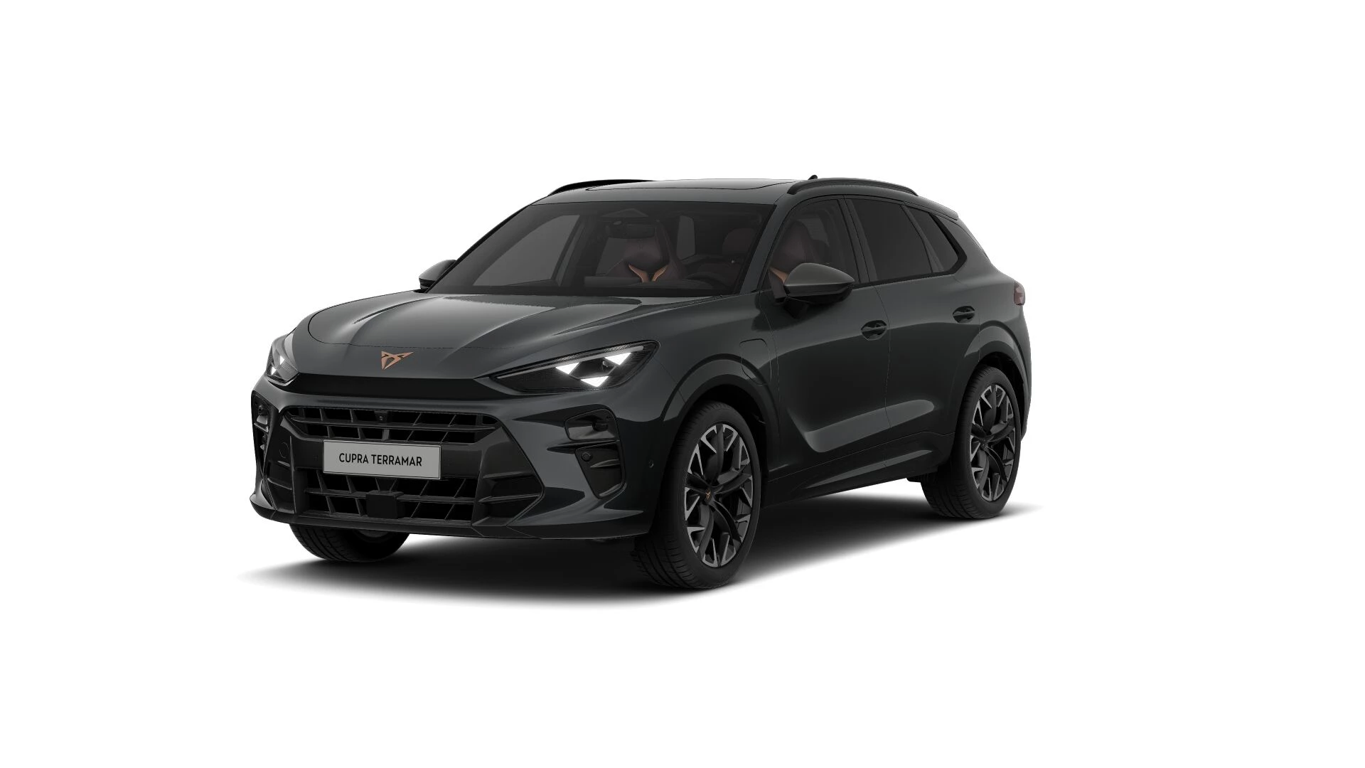 Hoofdafbeelding CUPRA Terramar