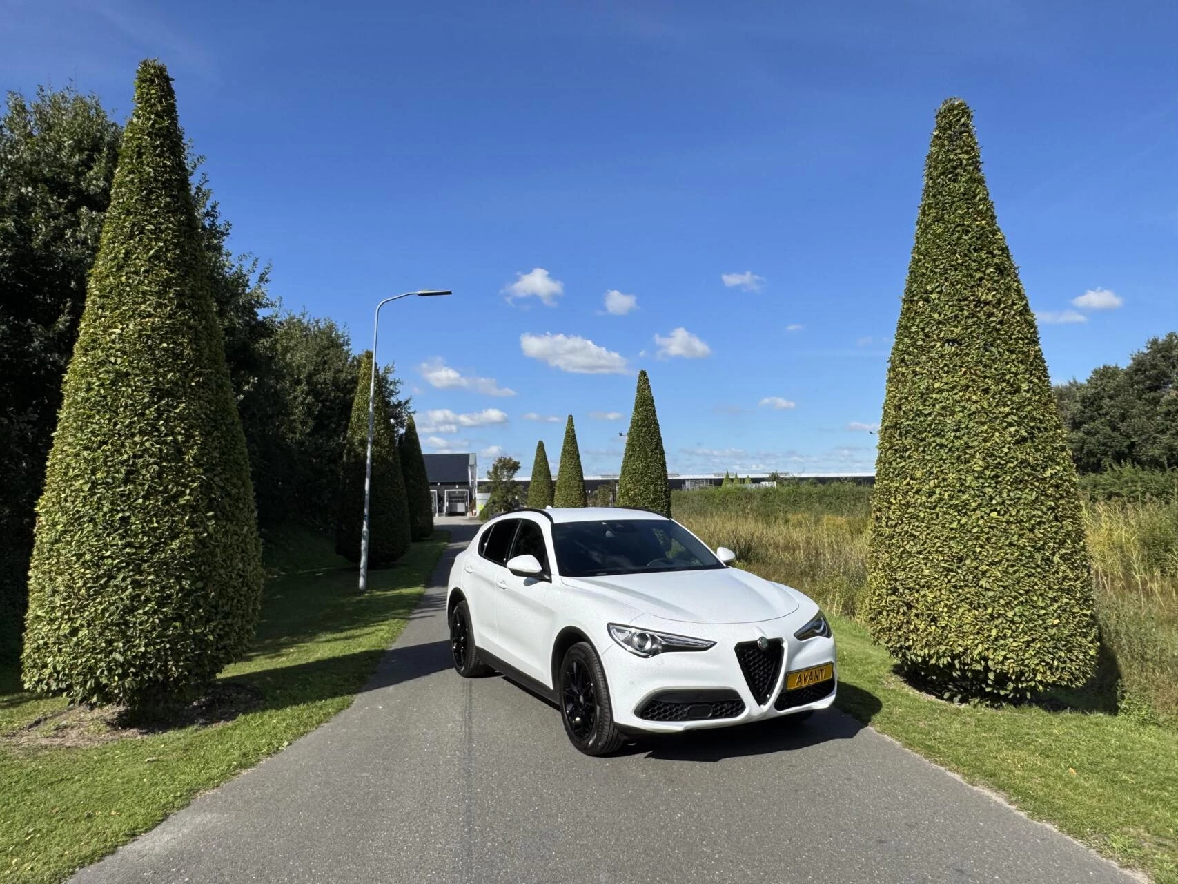 Hoofdafbeelding Alfa Romeo Stelvio