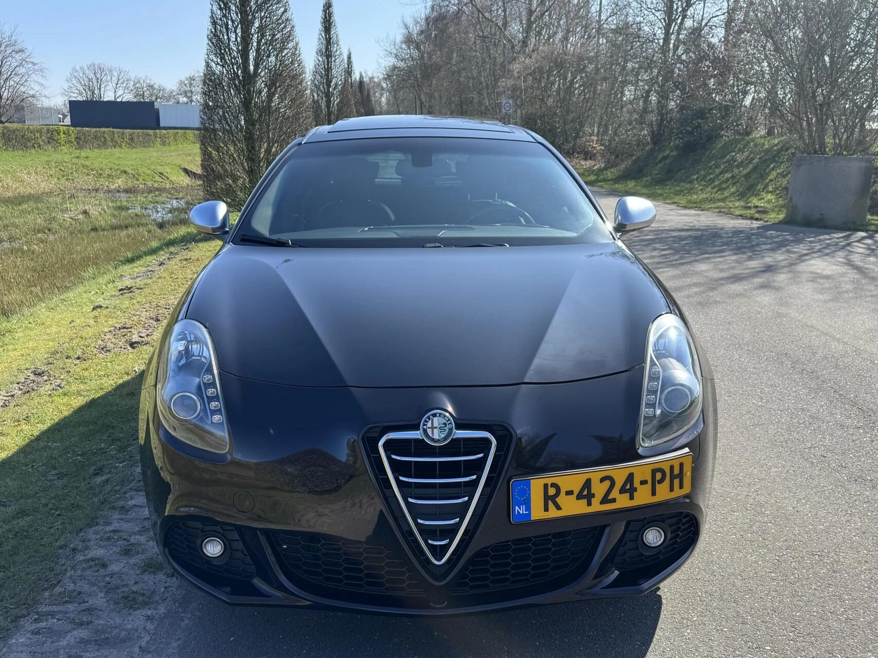Hoofdafbeelding Alfa Romeo Giulietta