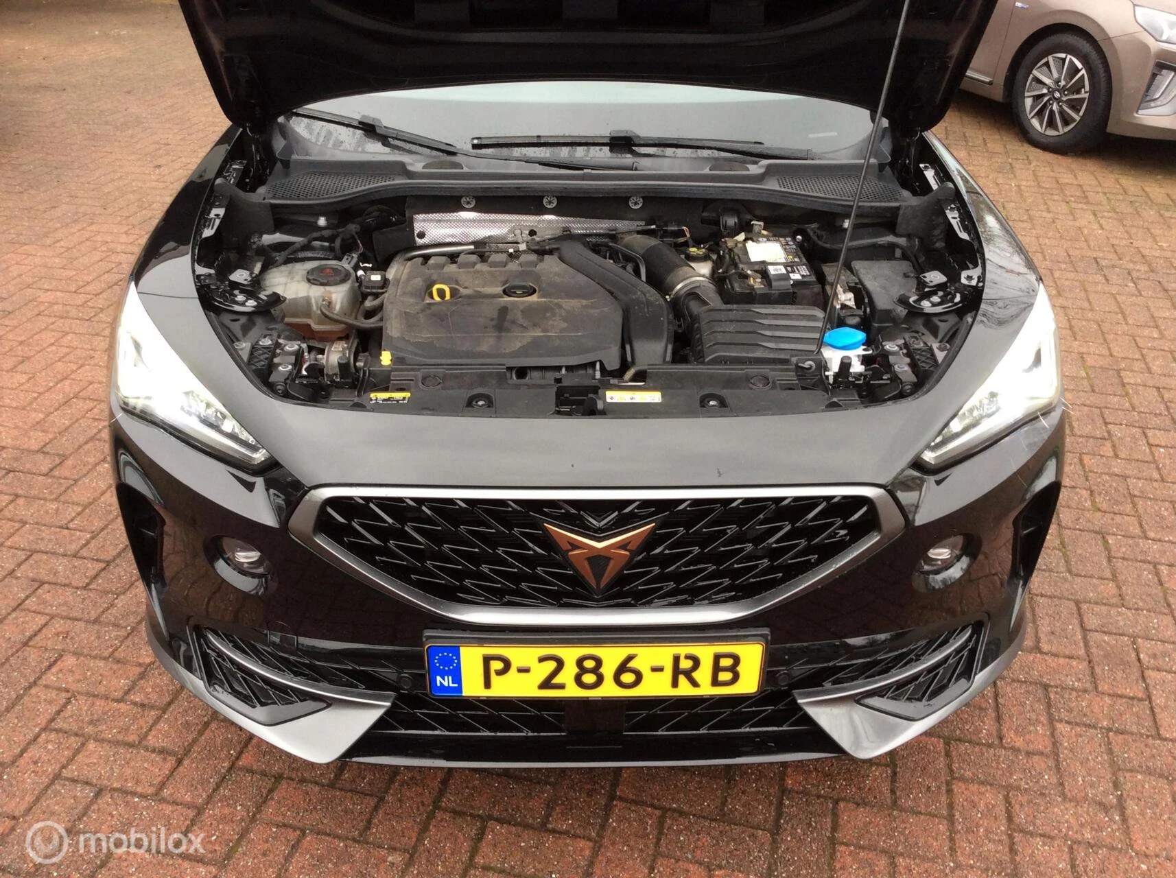 Hoofdafbeelding CUPRA Formentor