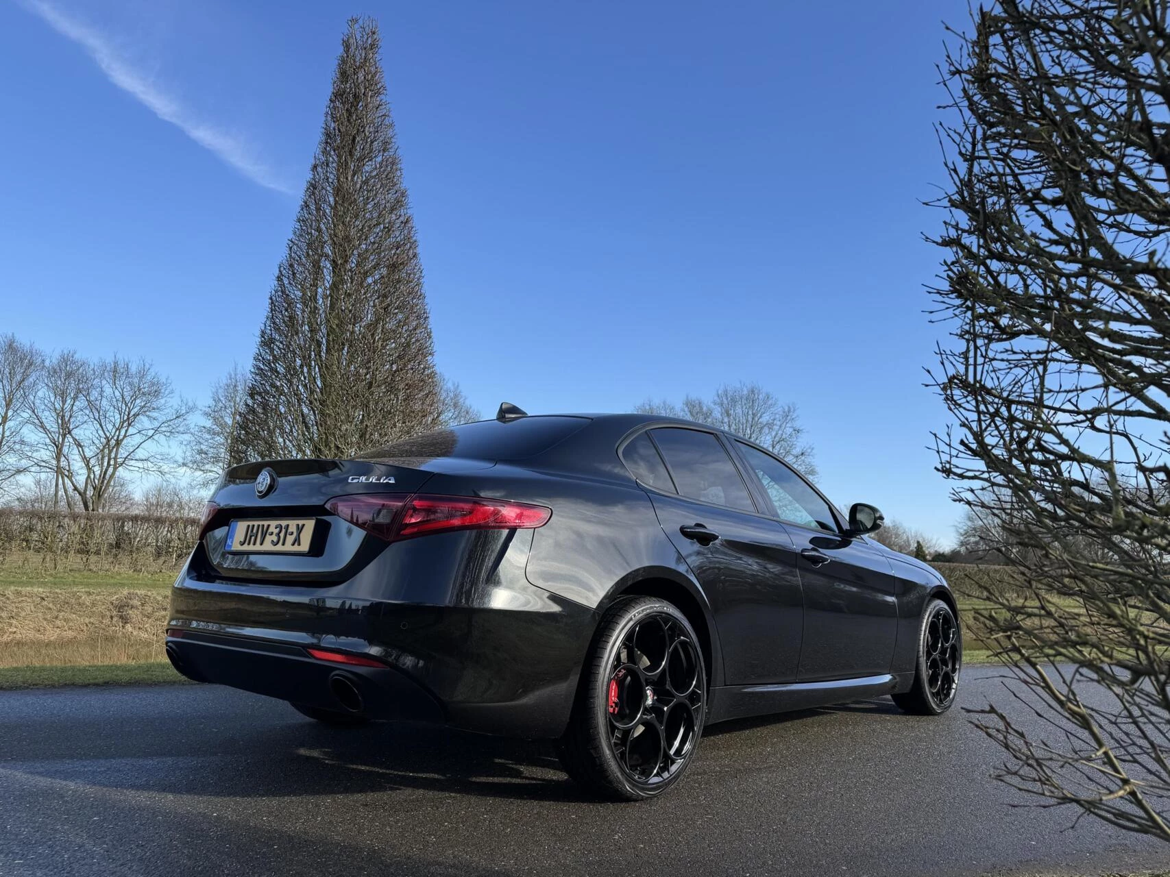 Hoofdafbeelding Alfa Romeo Giulia