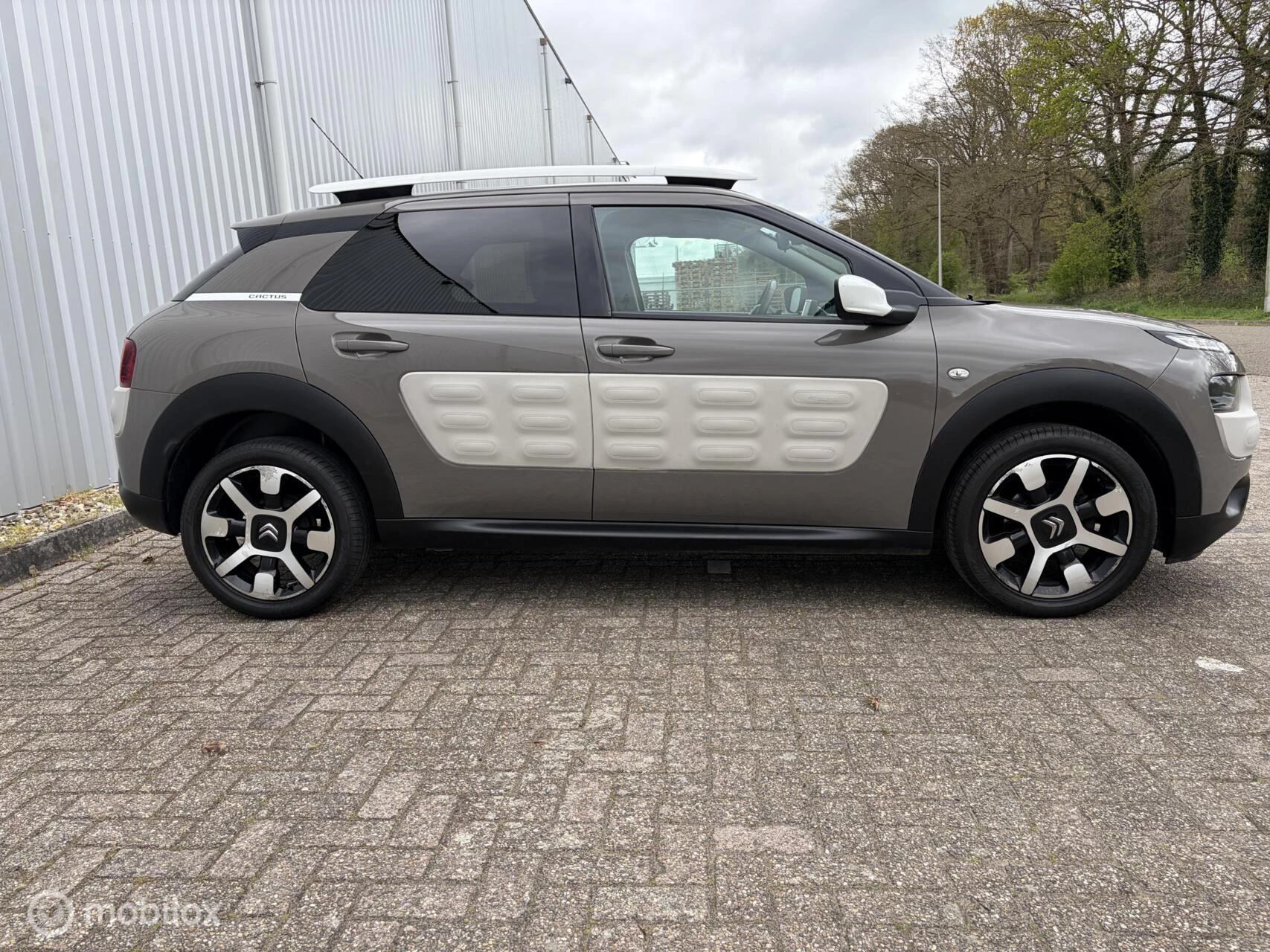 Hoofdafbeelding Citroën C4 Cactus
