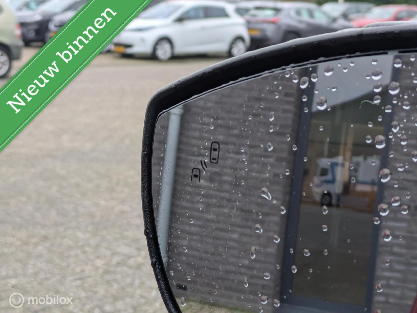 Hoofdafbeelding Ford EcoSport