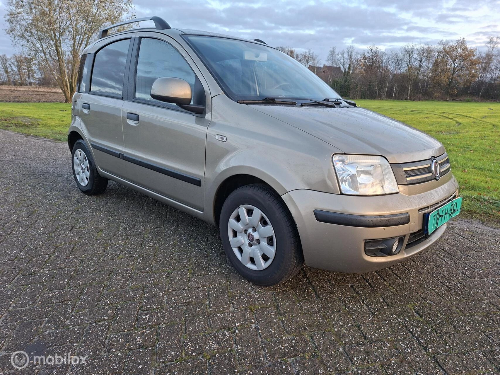 Hoofdafbeelding Fiat Panda