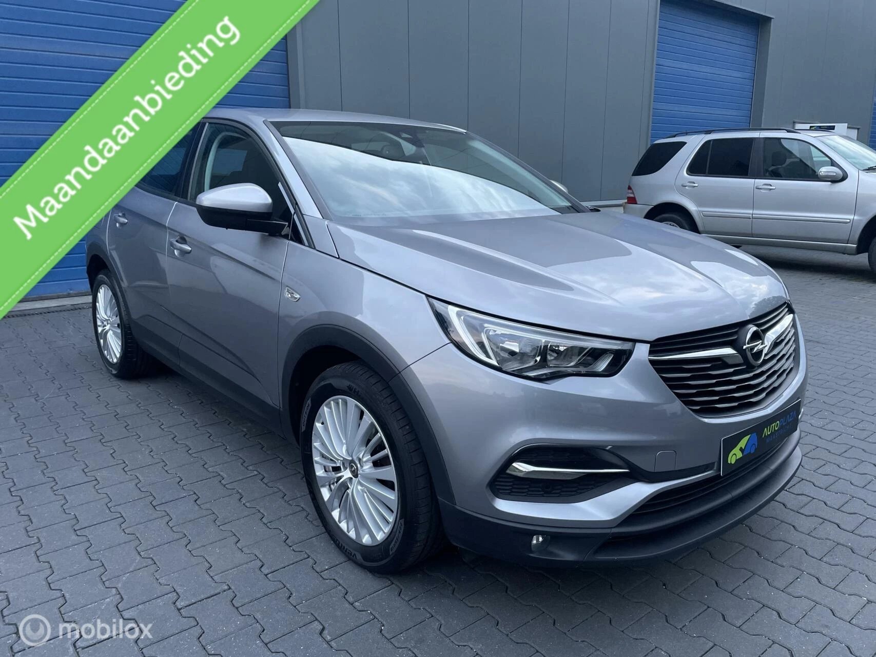 Hoofdafbeelding Opel Grandland X