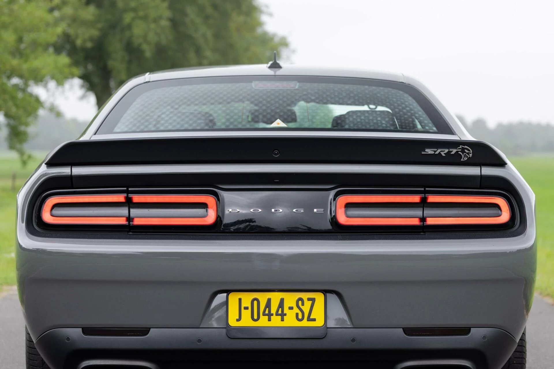 Hoofdafbeelding Dodge Challenger