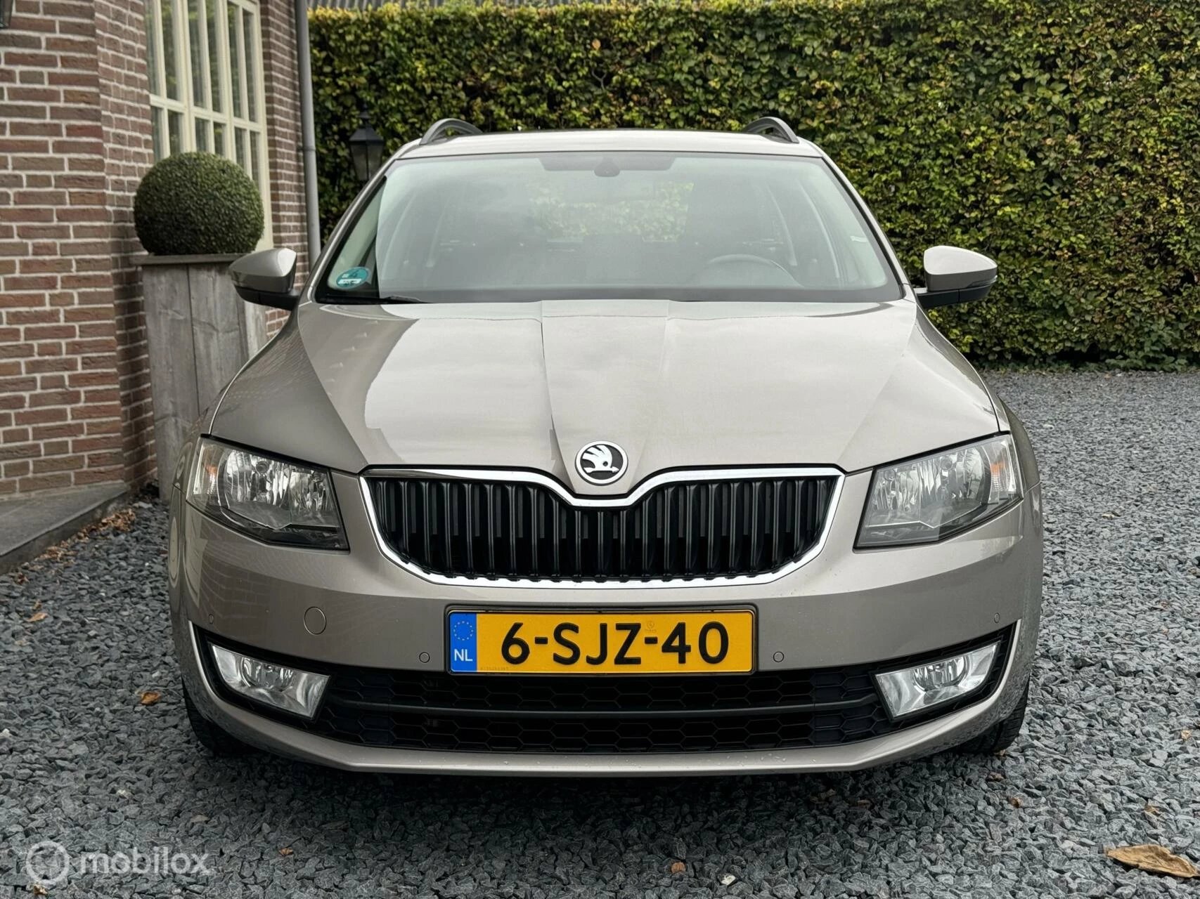 Hoofdafbeelding Škoda Octavia