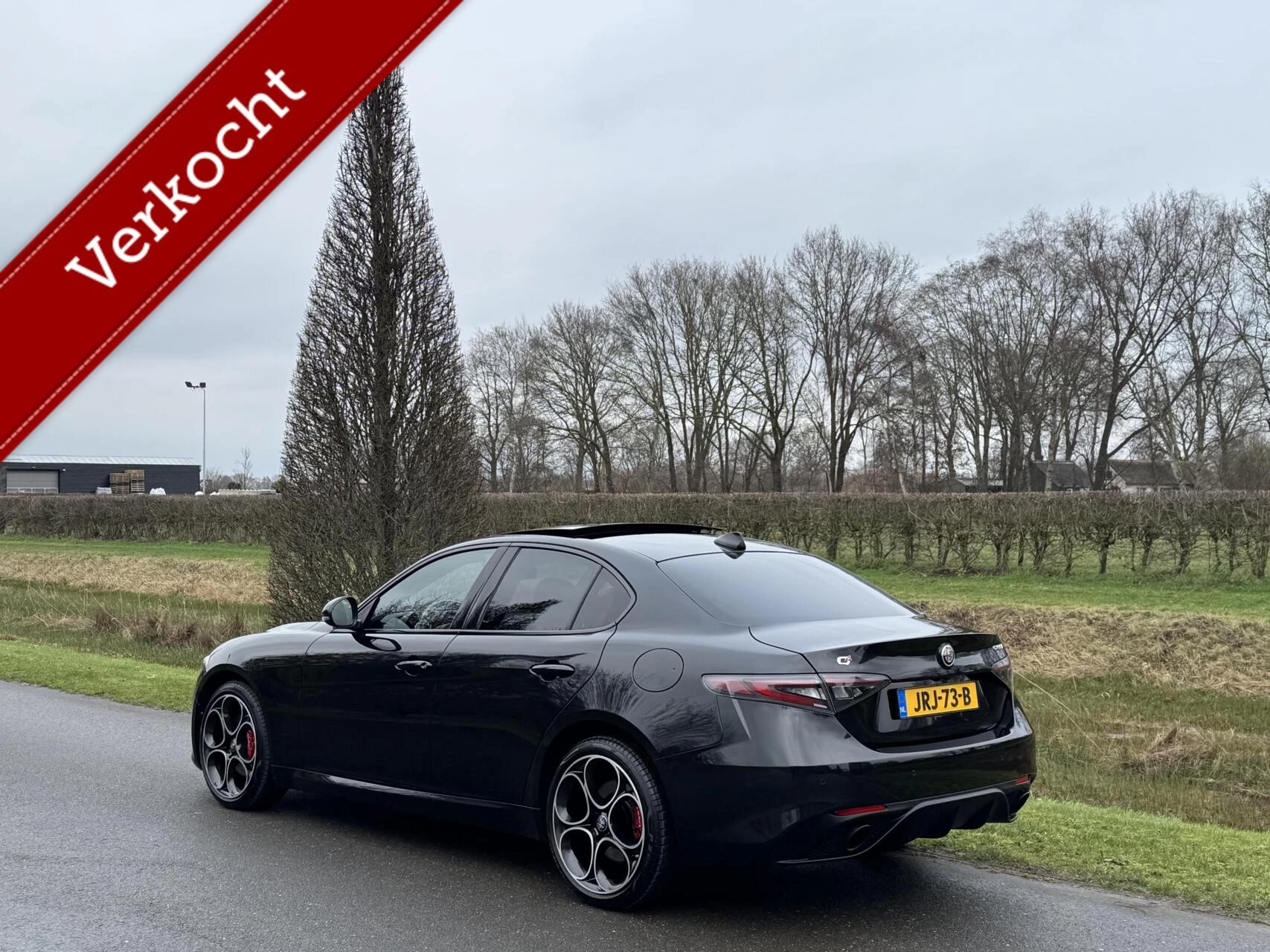 Hoofdafbeelding Alfa Romeo Giulia