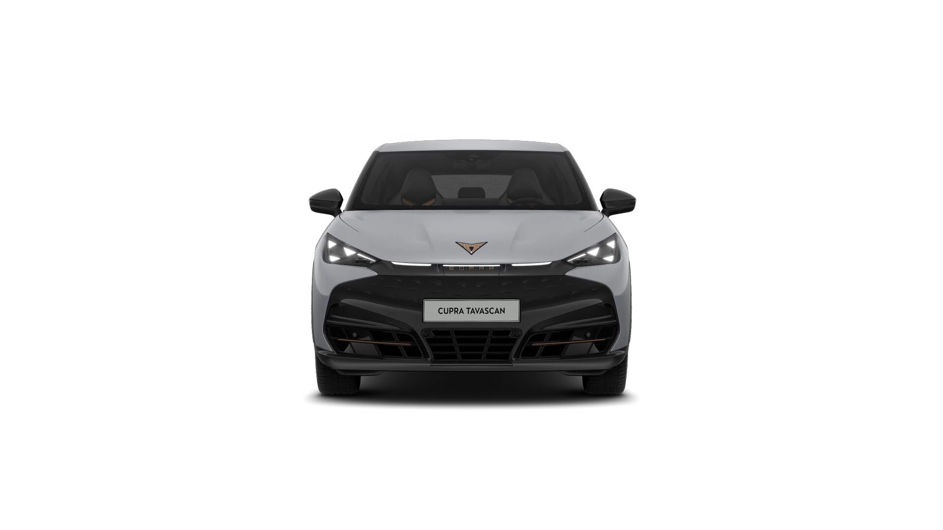 Hoofdafbeelding CUPRA Tavascan