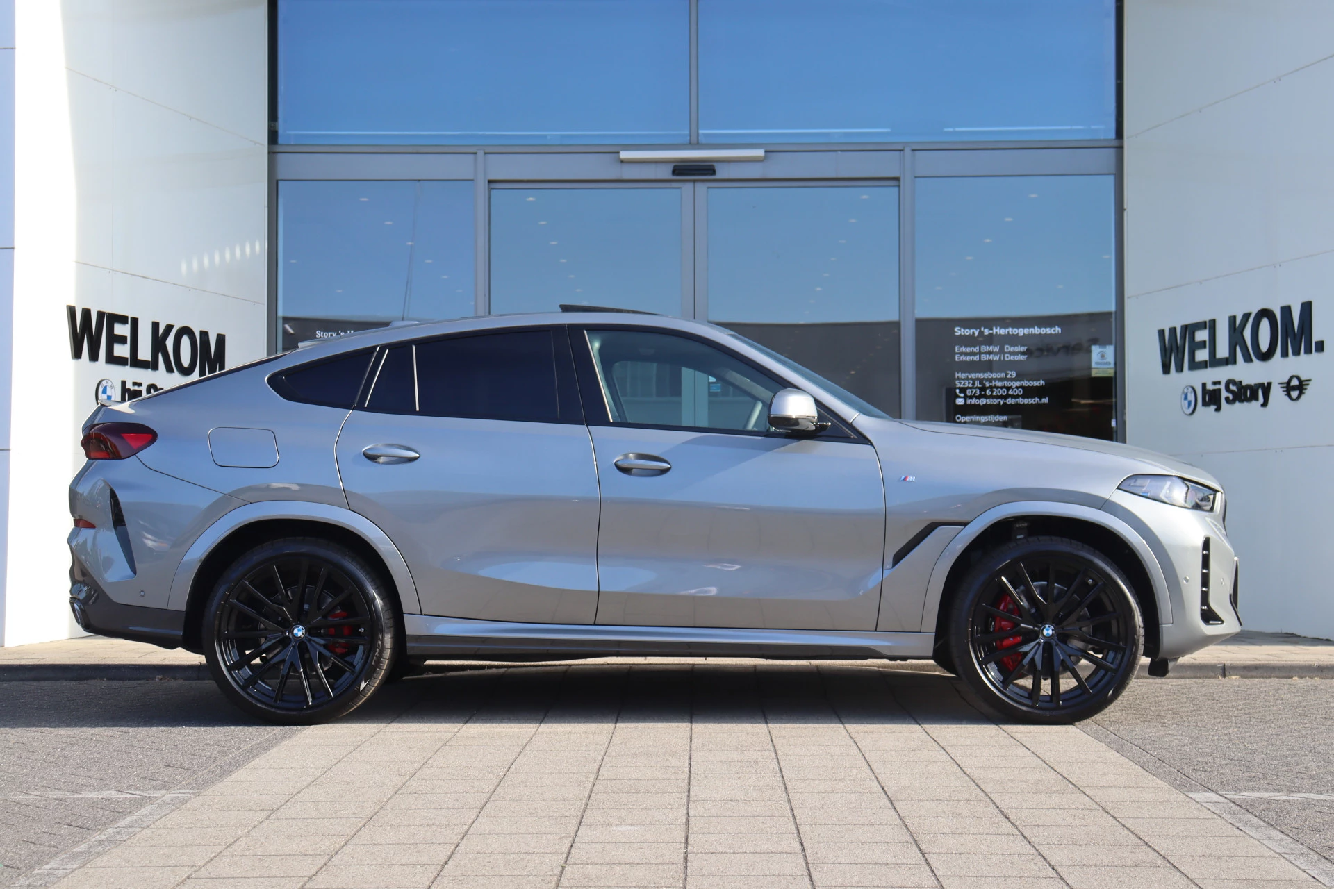 Hoofdafbeelding BMW X6