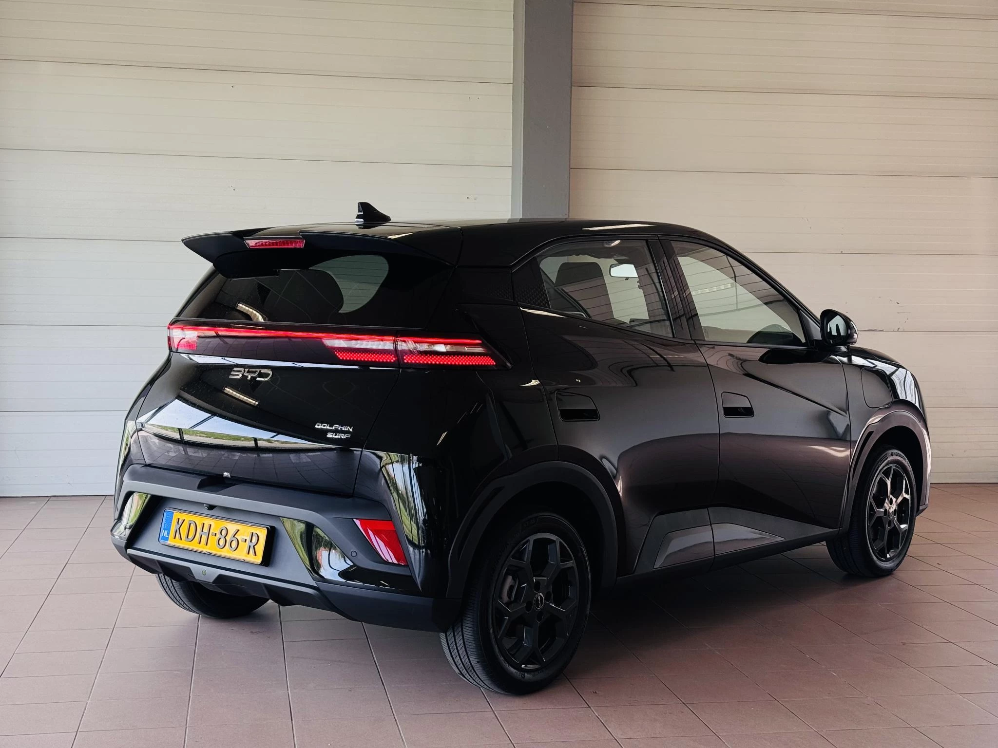 Hoofdafbeelding BYD DOLPHIN SURF