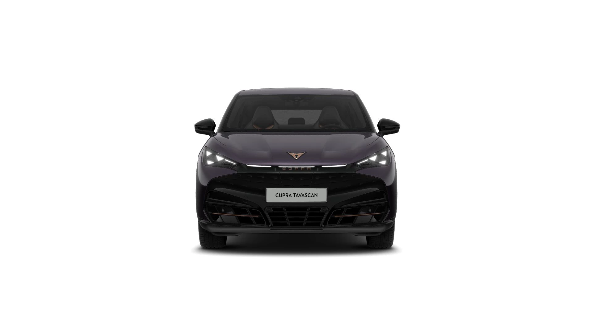 Hoofdafbeelding CUPRA Tavascan
