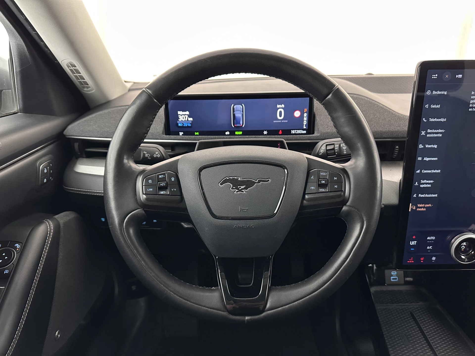 Hoofdafbeelding Ford Mustang Mach-E