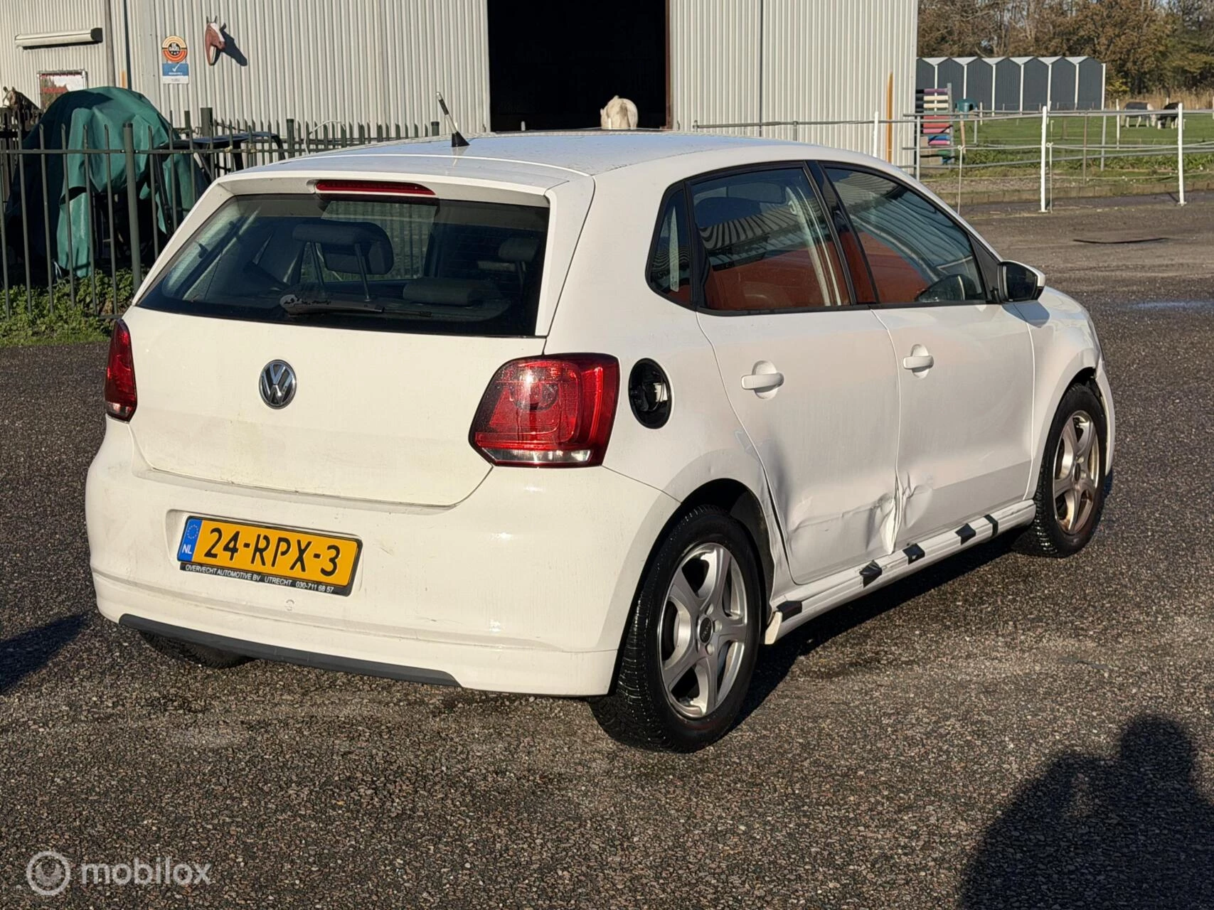 Hoofdafbeelding Volkswagen Polo