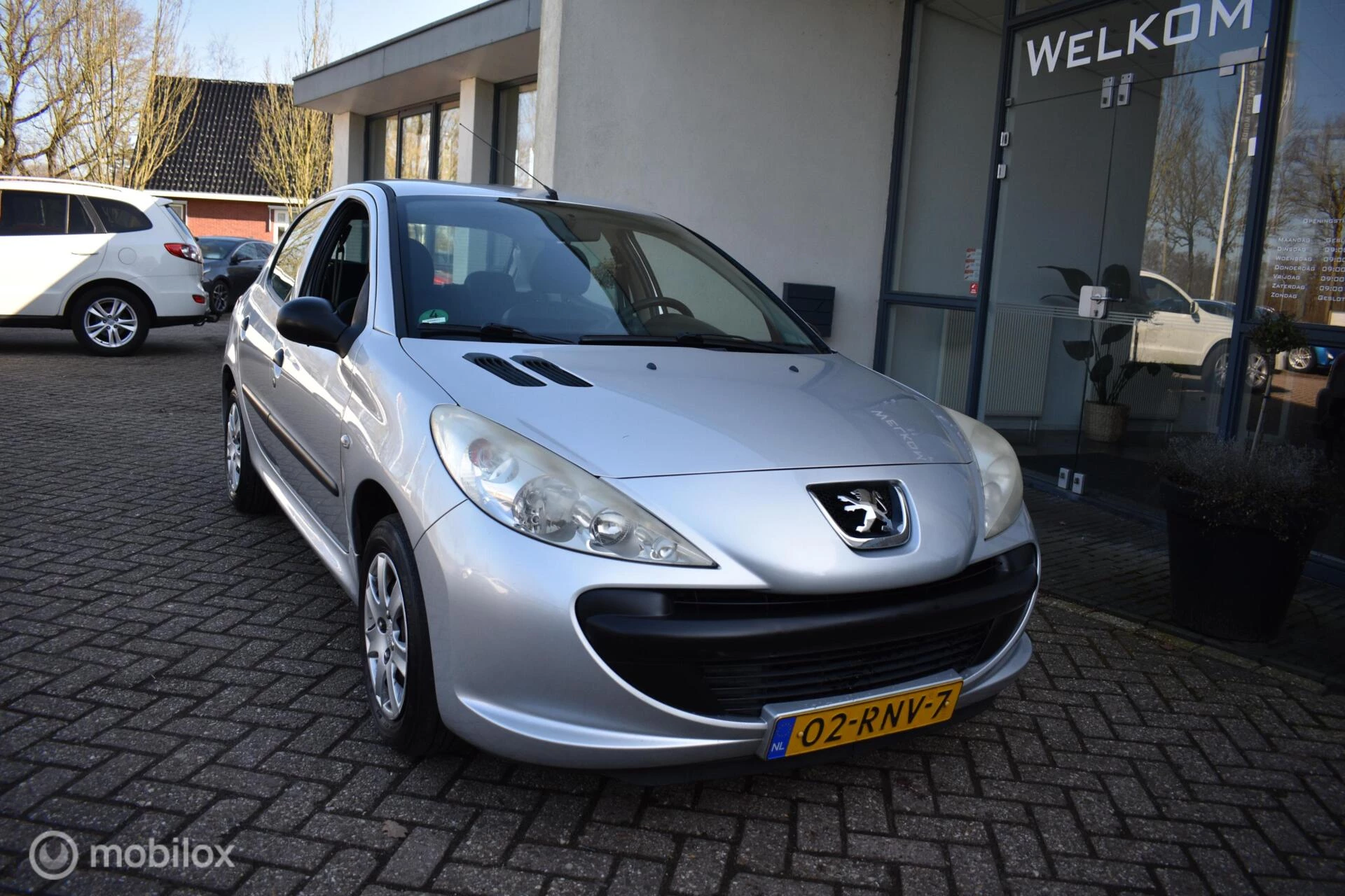Hoofdafbeelding Peugeot 206