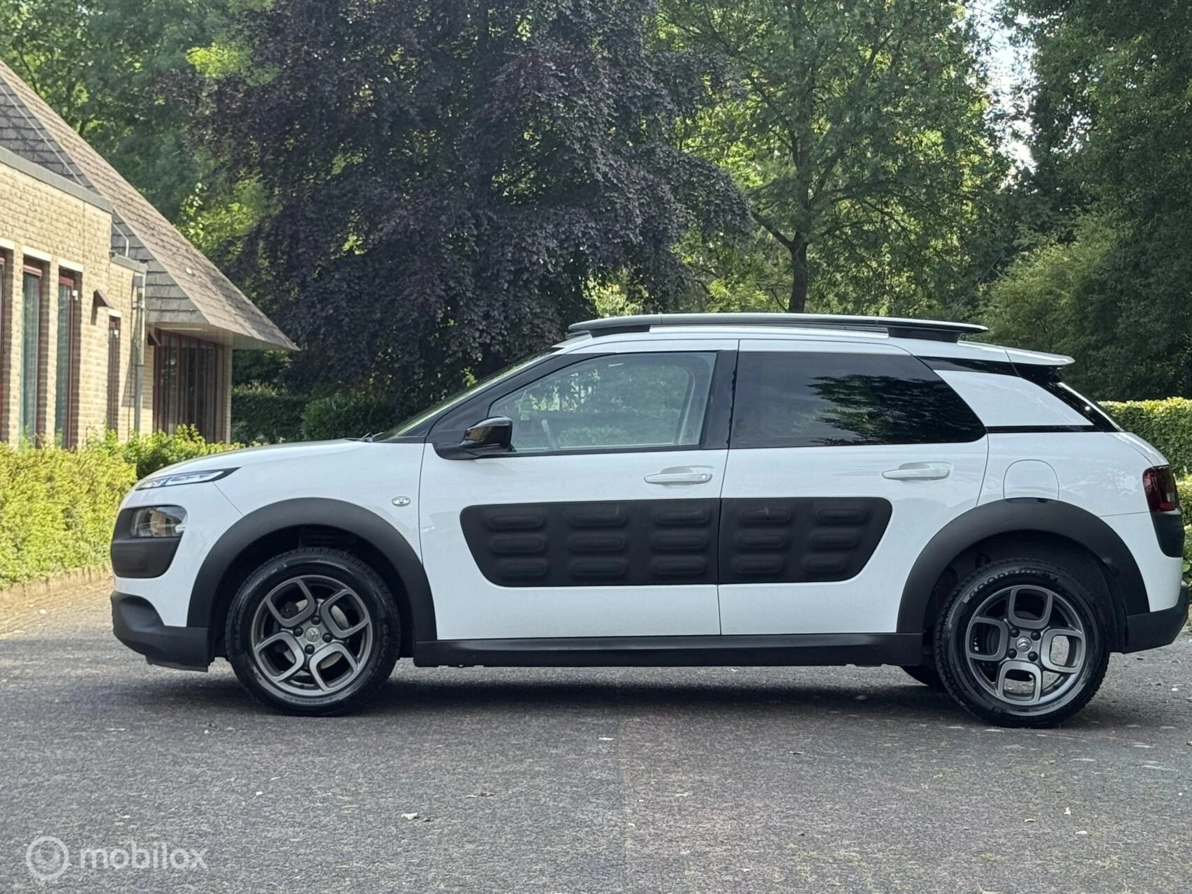 Hoofdafbeelding Citroën C4 Cactus
