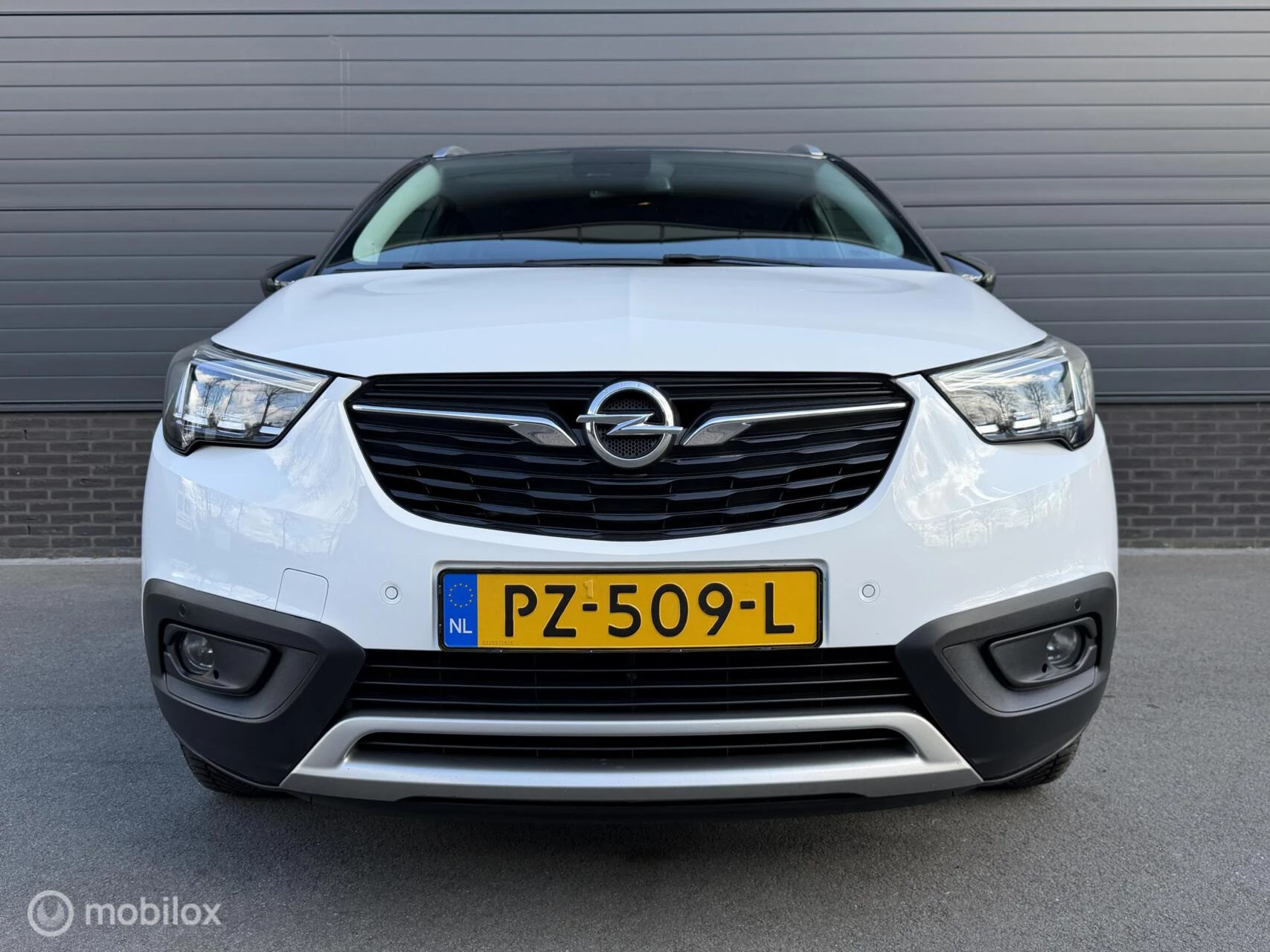 Hoofdafbeelding Opel Crossland X