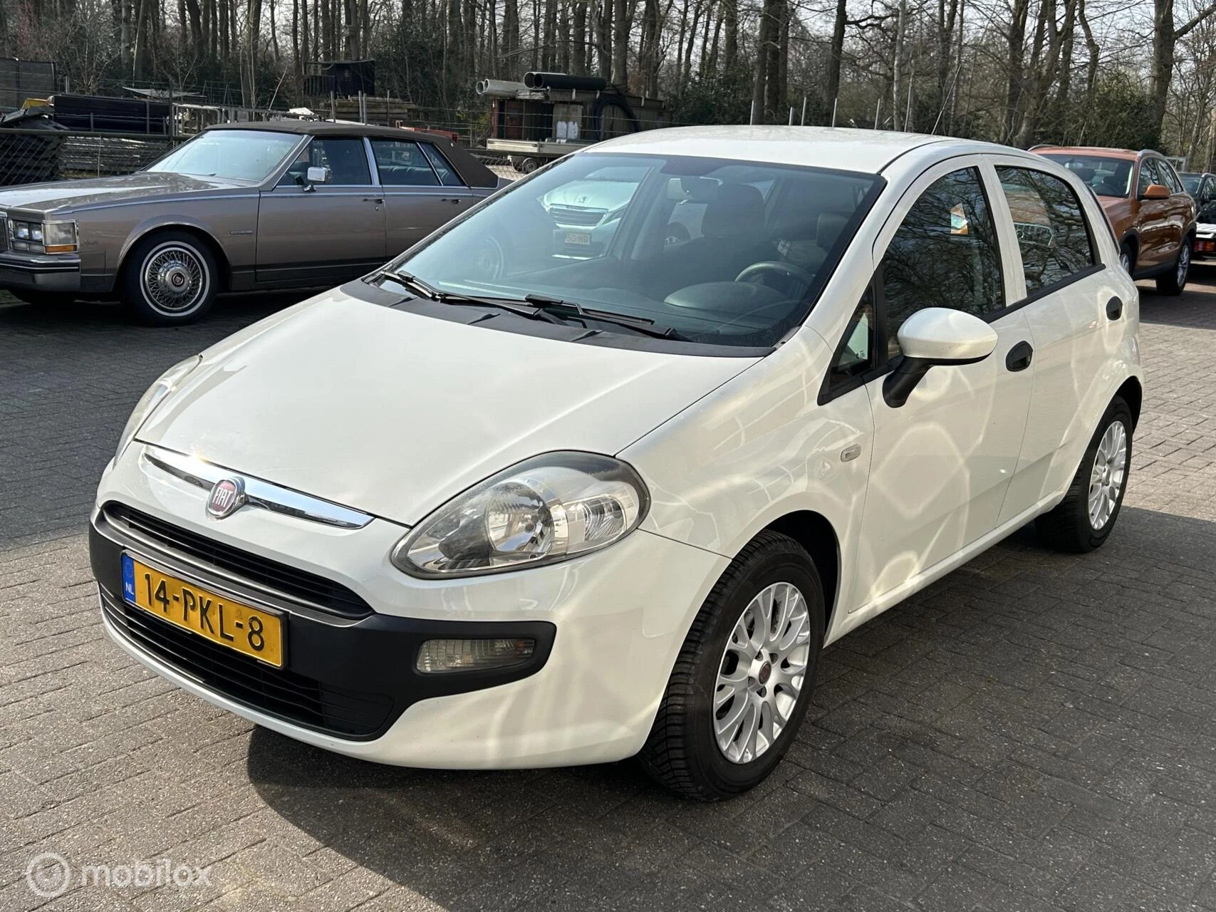 Hoofdafbeelding Fiat Punto