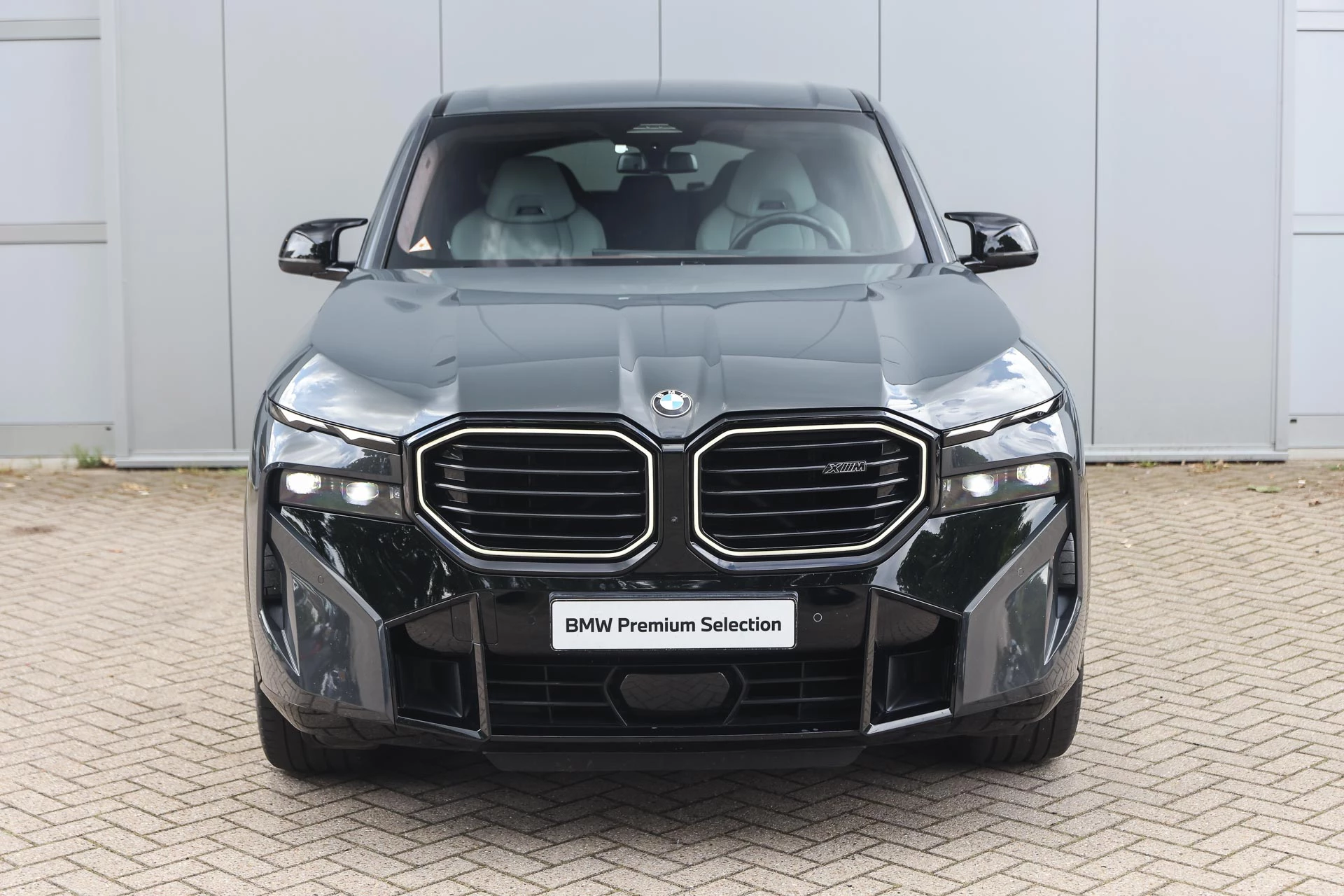 Hoofdafbeelding BMW XM
