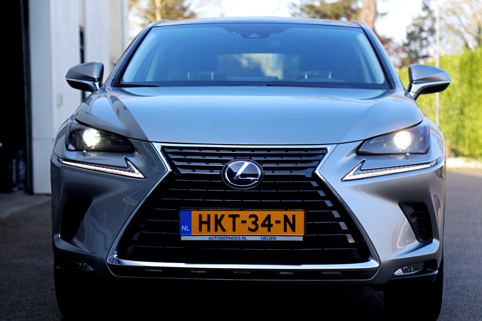 Hoofdafbeelding Lexus NX