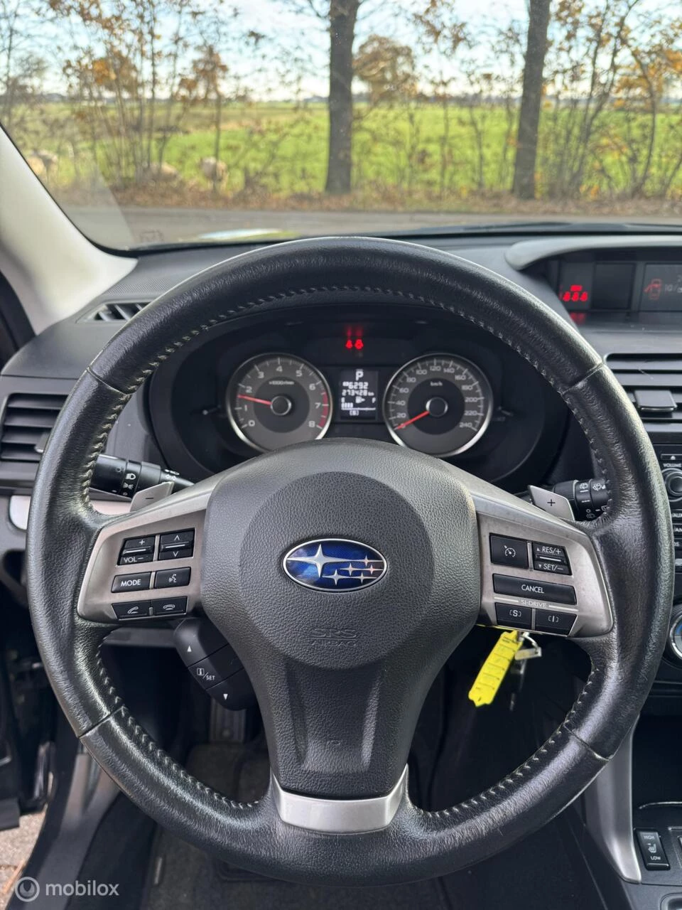 Hoofdafbeelding Subaru Forester