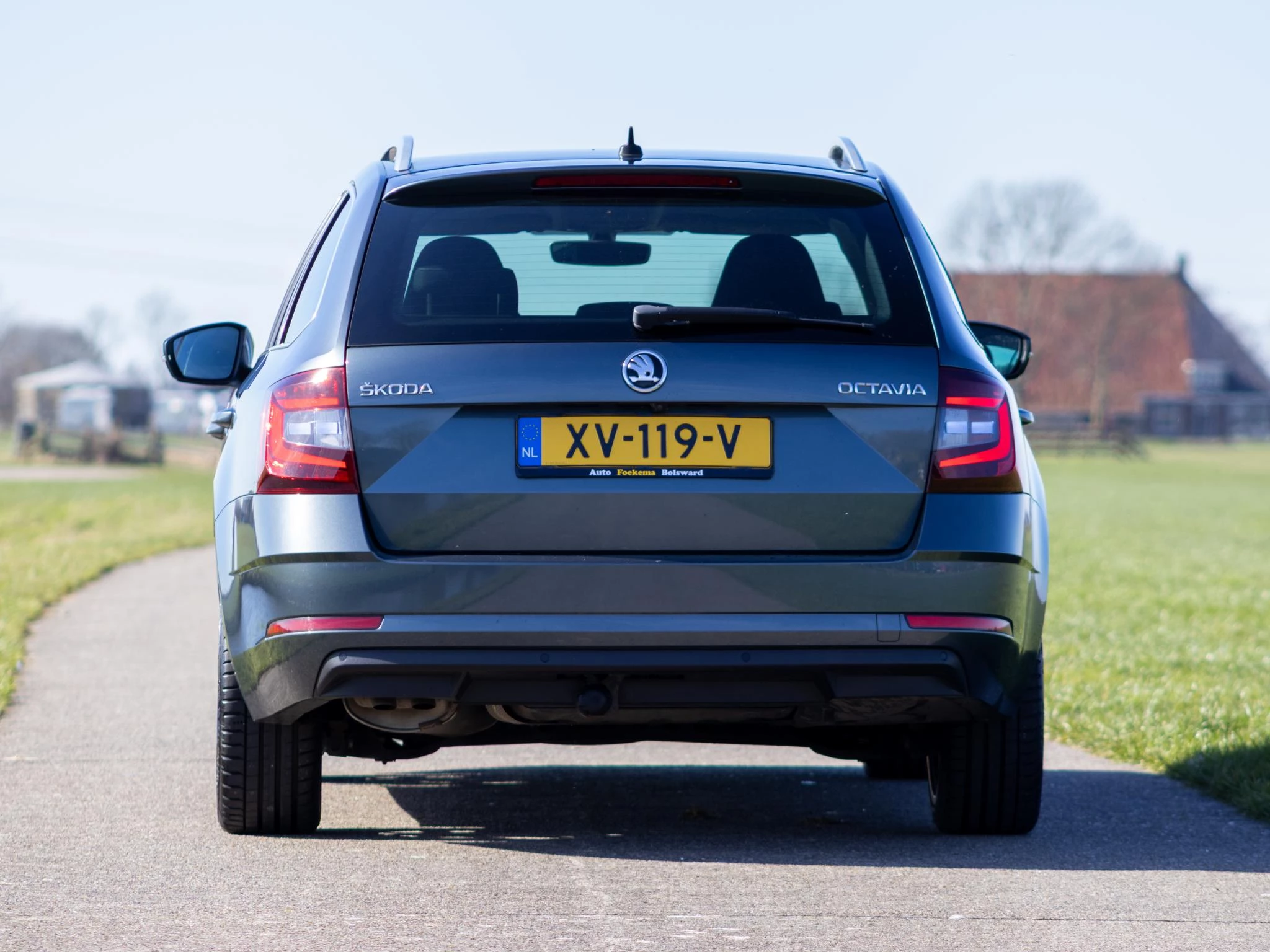 Hoofdafbeelding Škoda Octavia