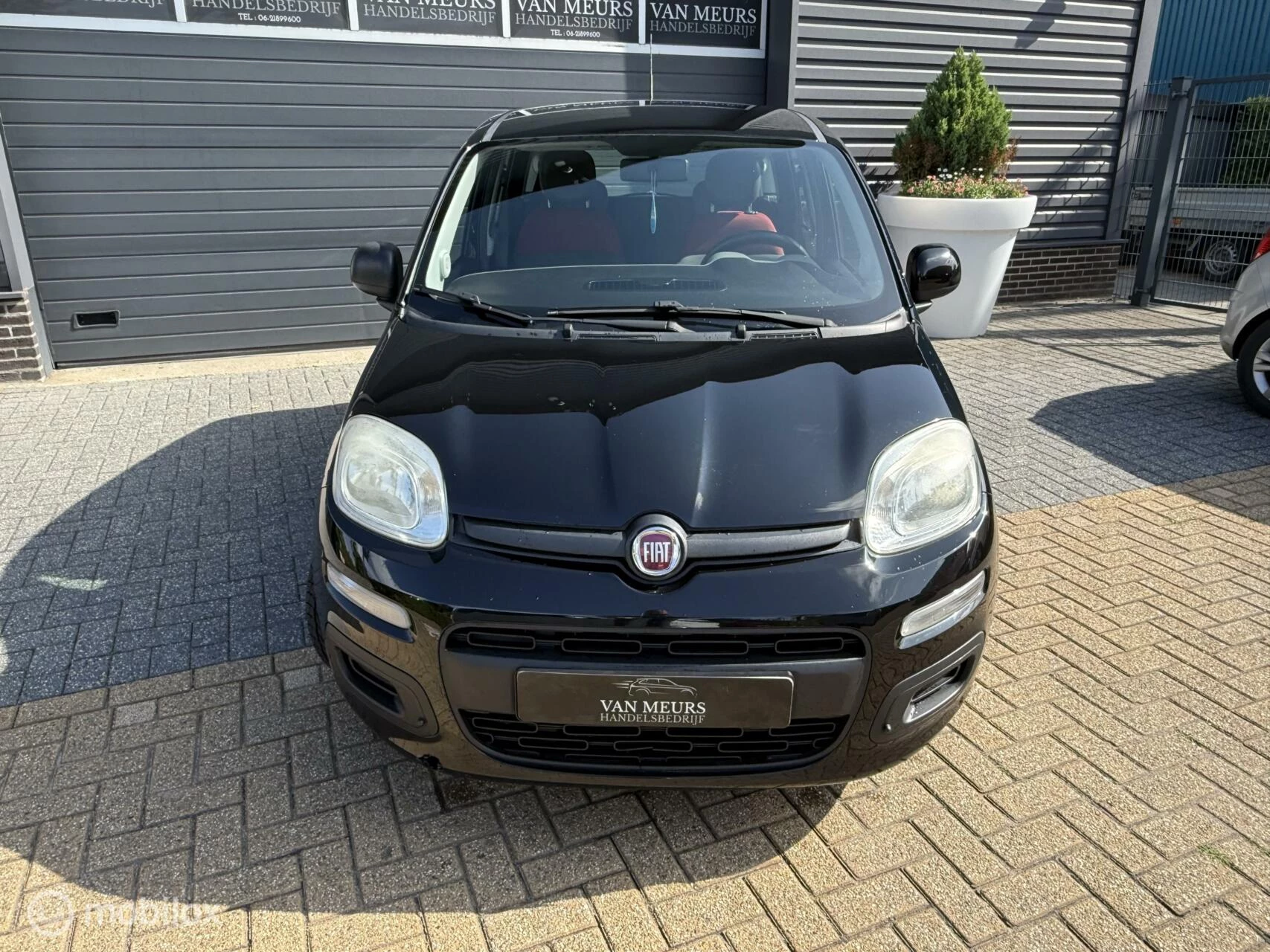 Hoofdafbeelding Fiat Panda