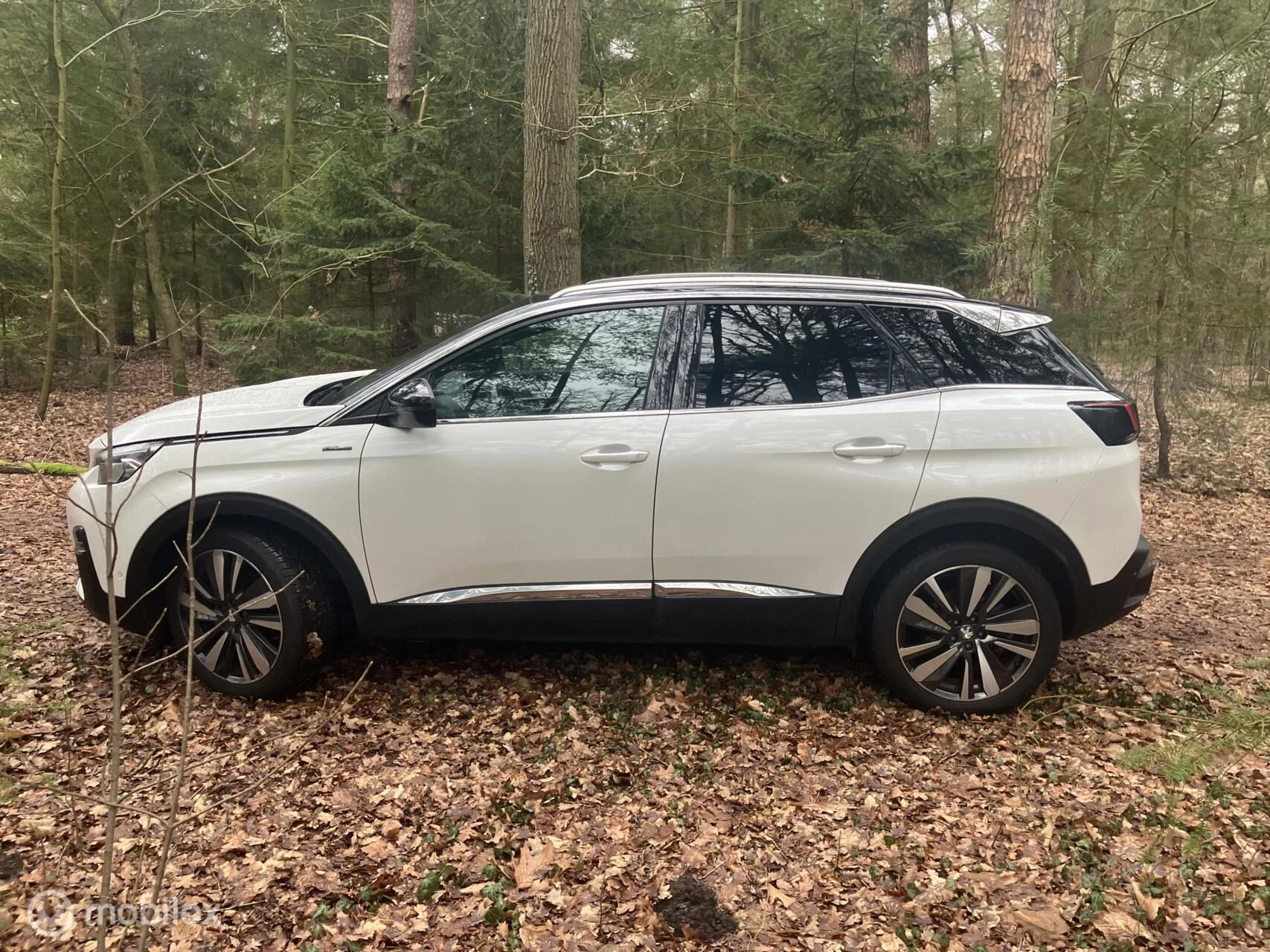 Hoofdafbeelding Peugeot 3008